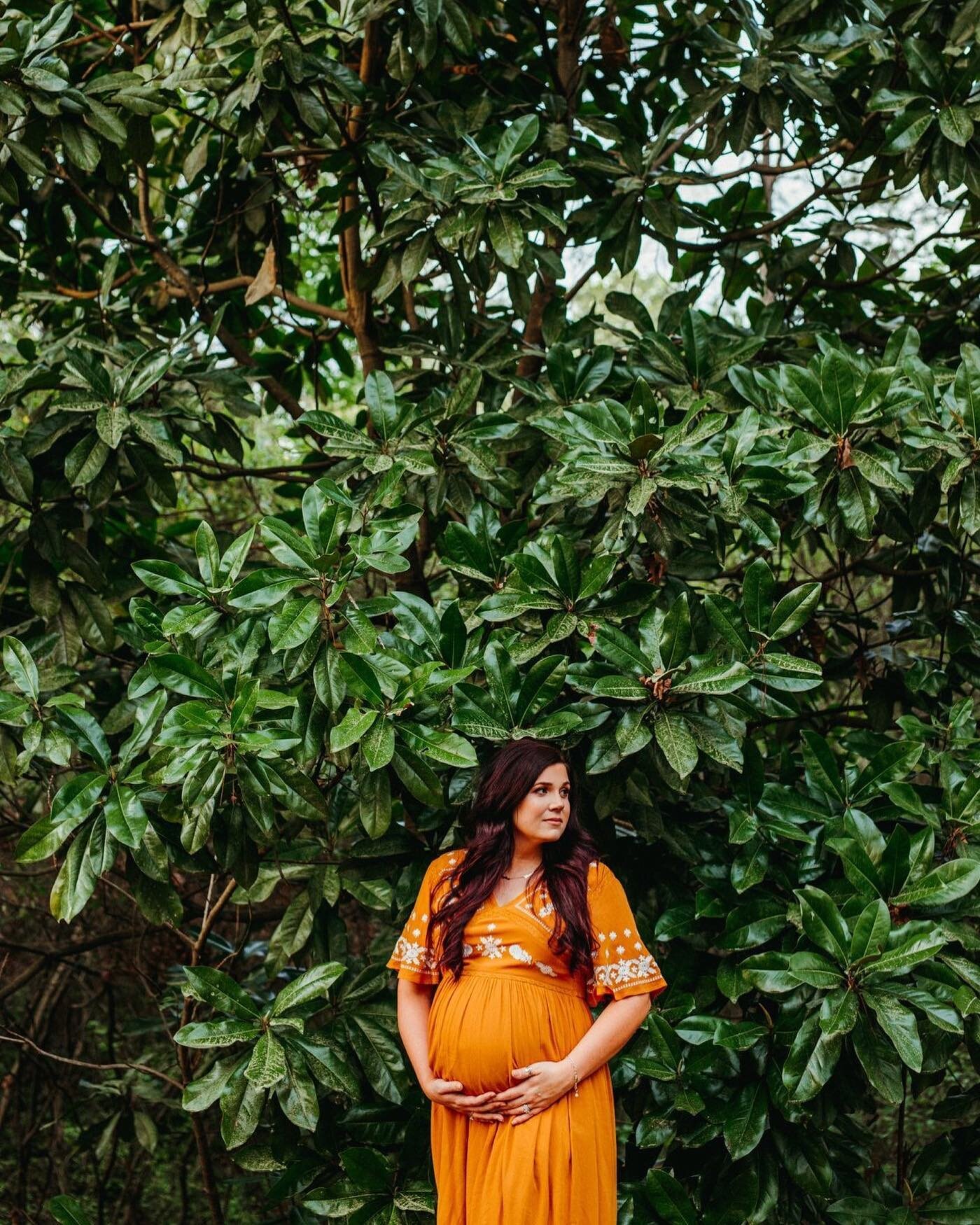 Of all the rights of women, the greatest is to be a mother. 🧡
 
Mother: @cydneysaulsbury 
HMUA: @kimberlyrayburnbeauty 
Location: @twincreeks_events
Photog: @mollykendrickphotography