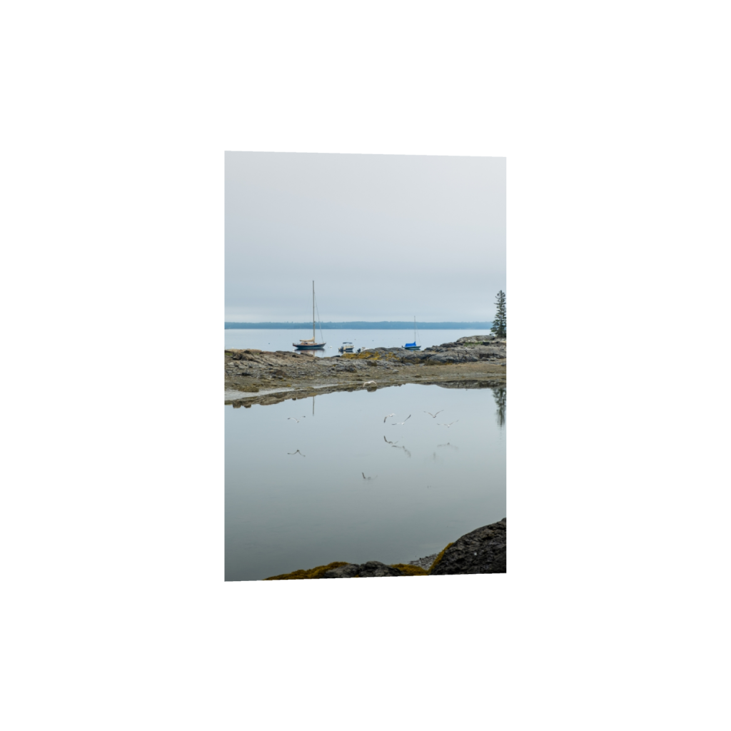 ptq_1_3_330_0_3306_4960_0_false_ffffff_0_0_.png