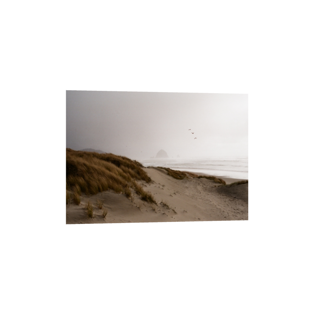 ptq_1_7_112_0_2905_2075_0_false_ffffff_0_0_.png