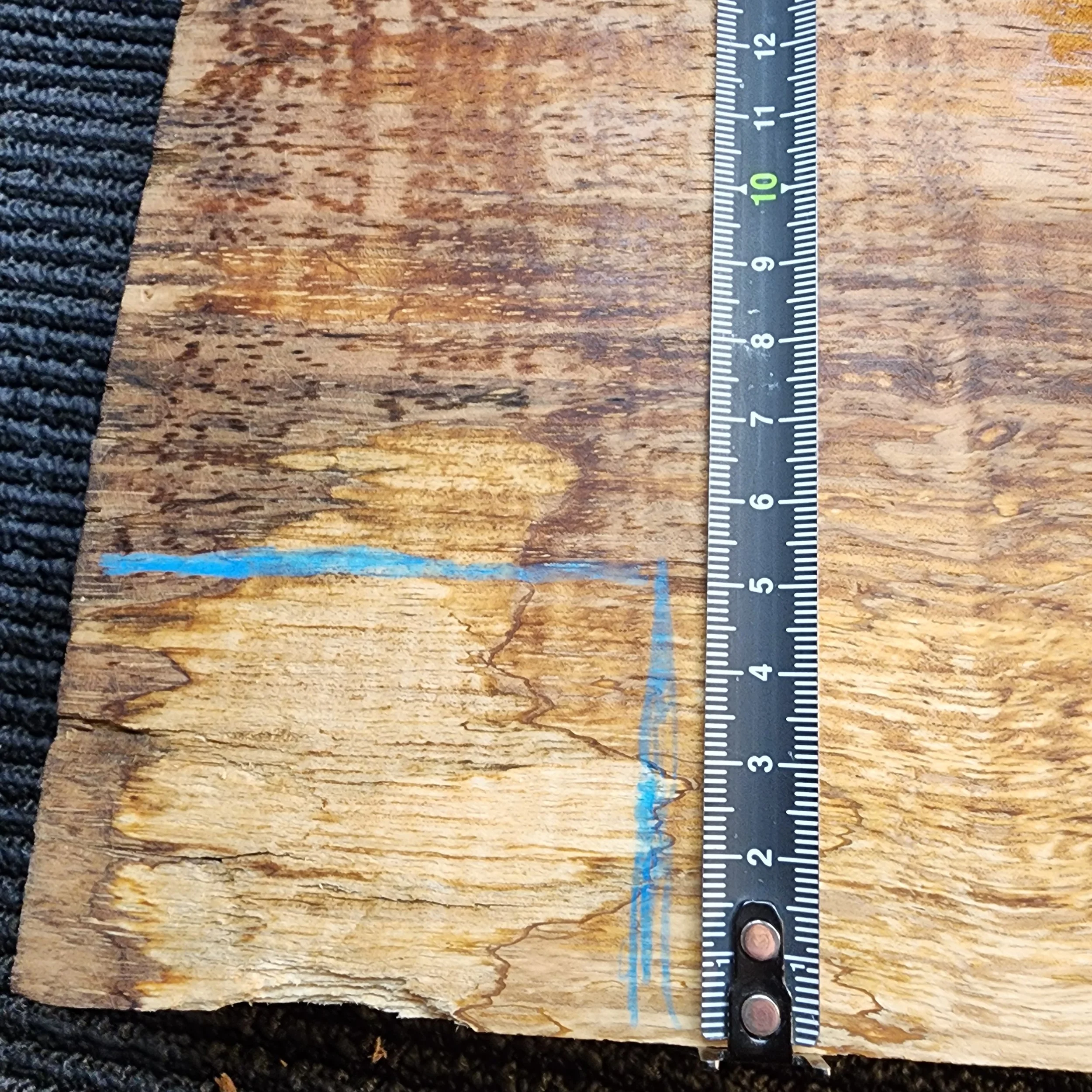 1000027302.jpg