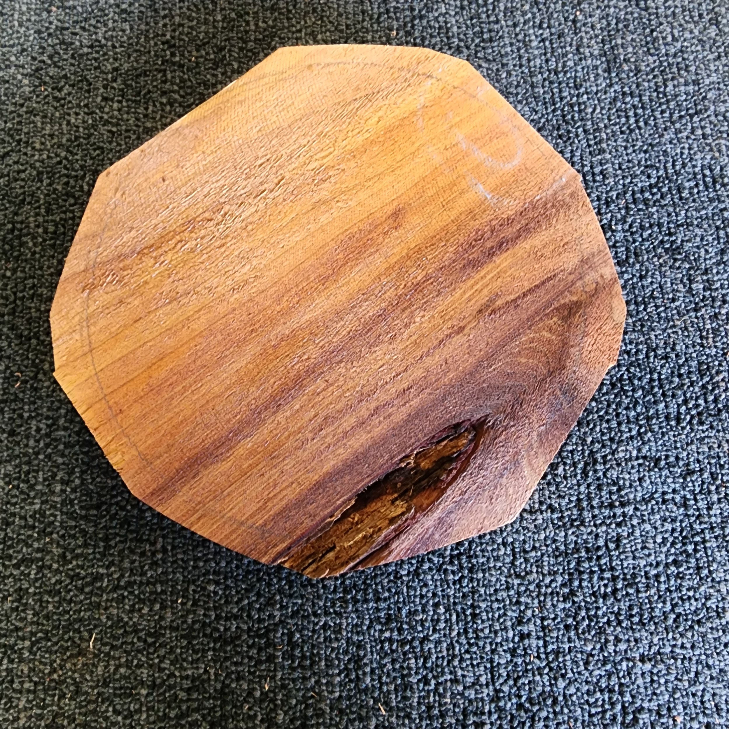 Tasmanian Blackwood