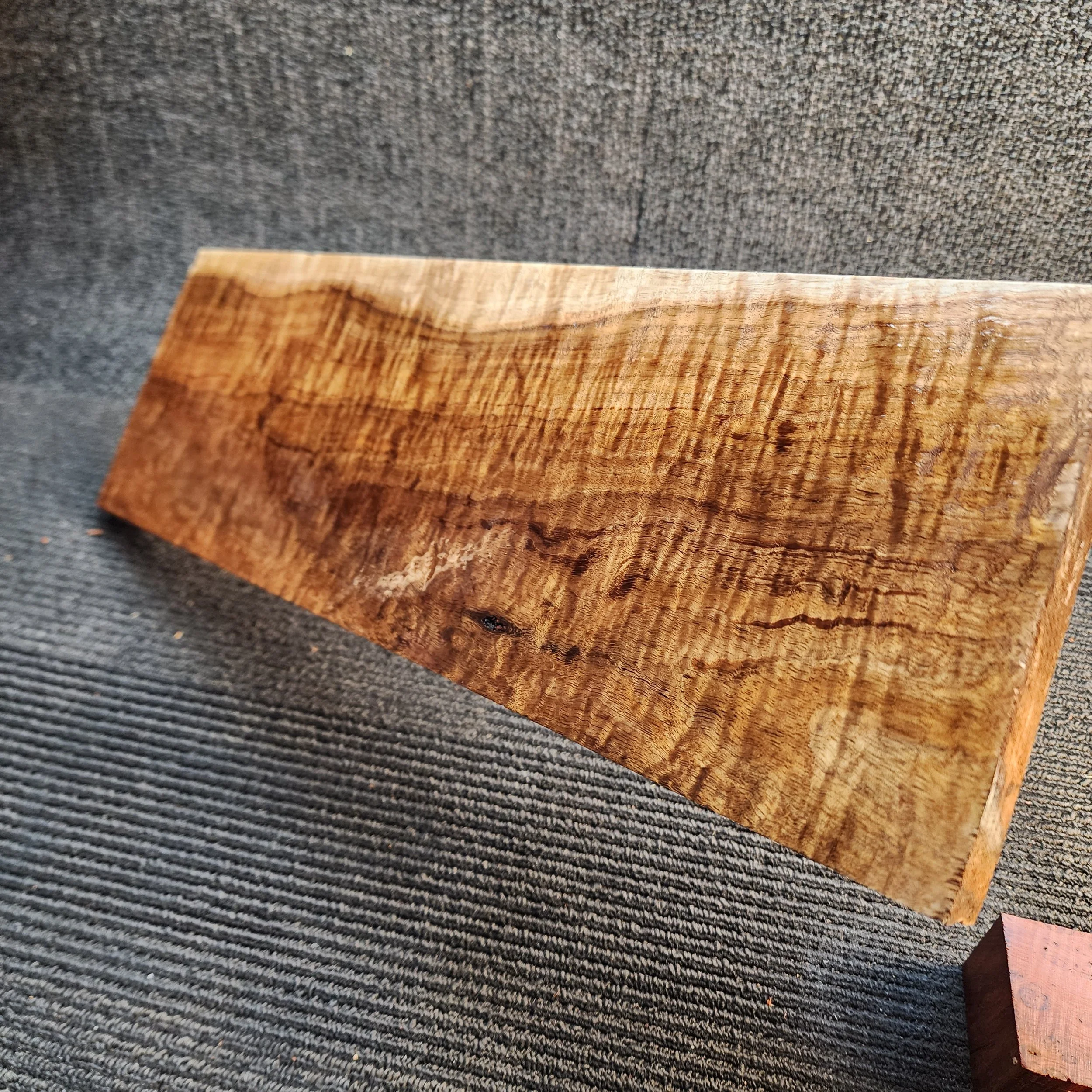 Fiddleback Blackwood