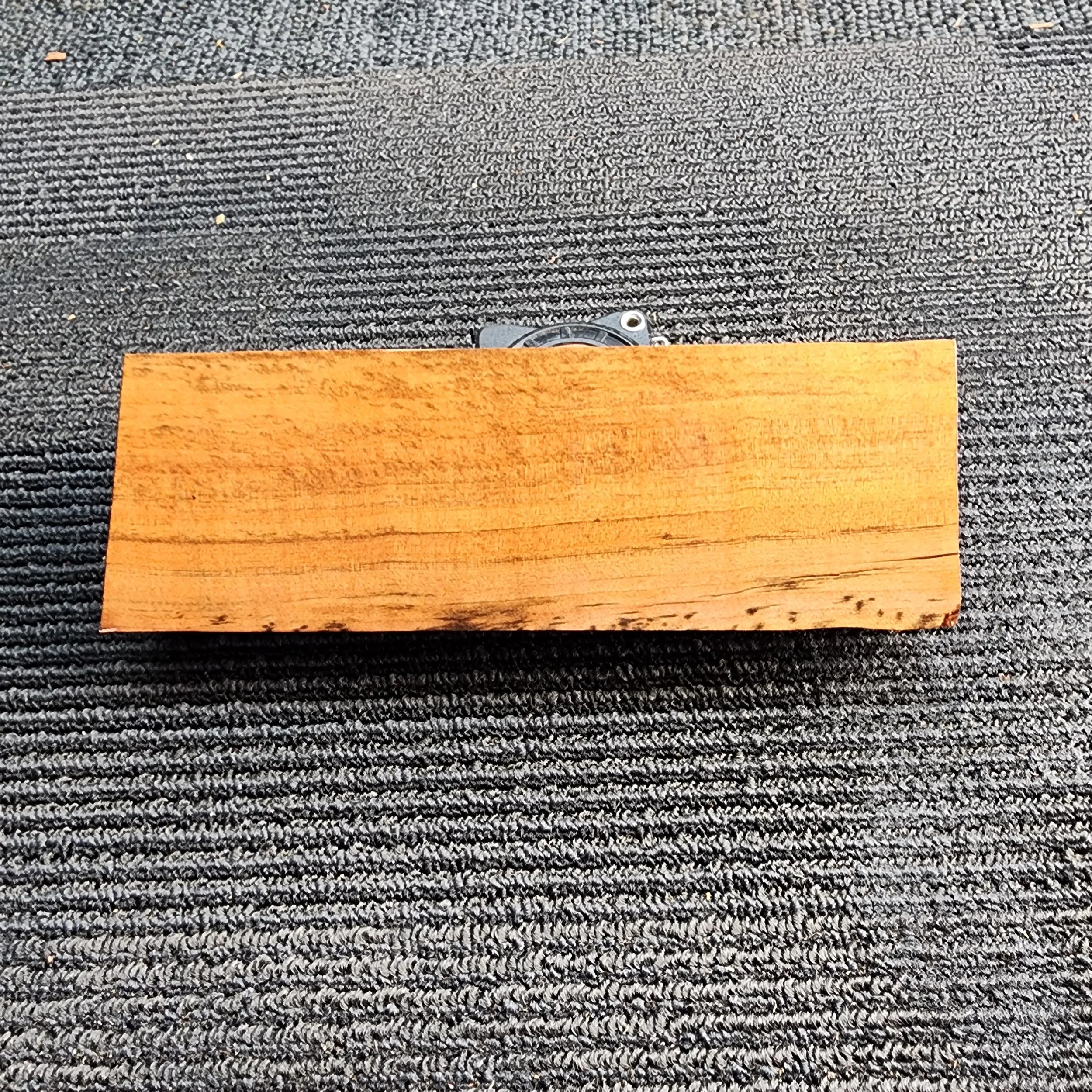 1000026926.jpg