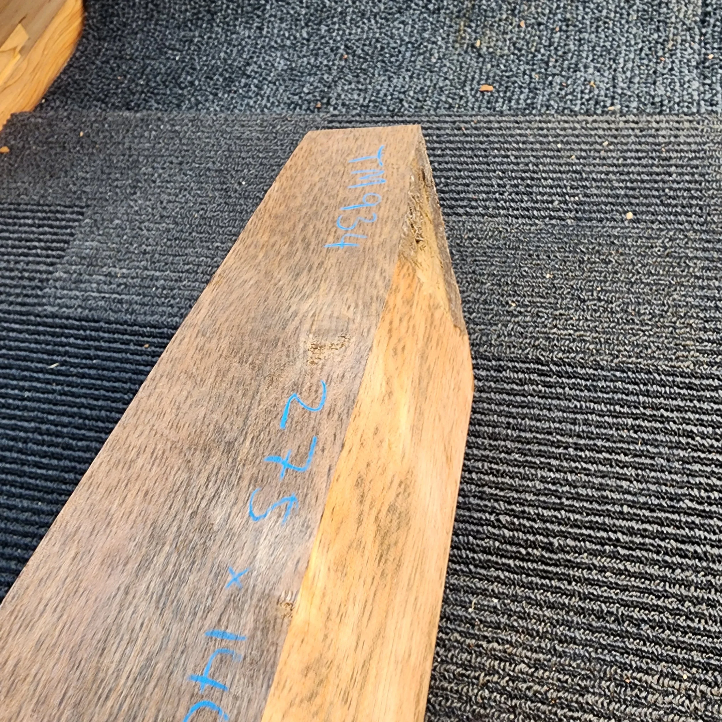 1000027024.jpg
