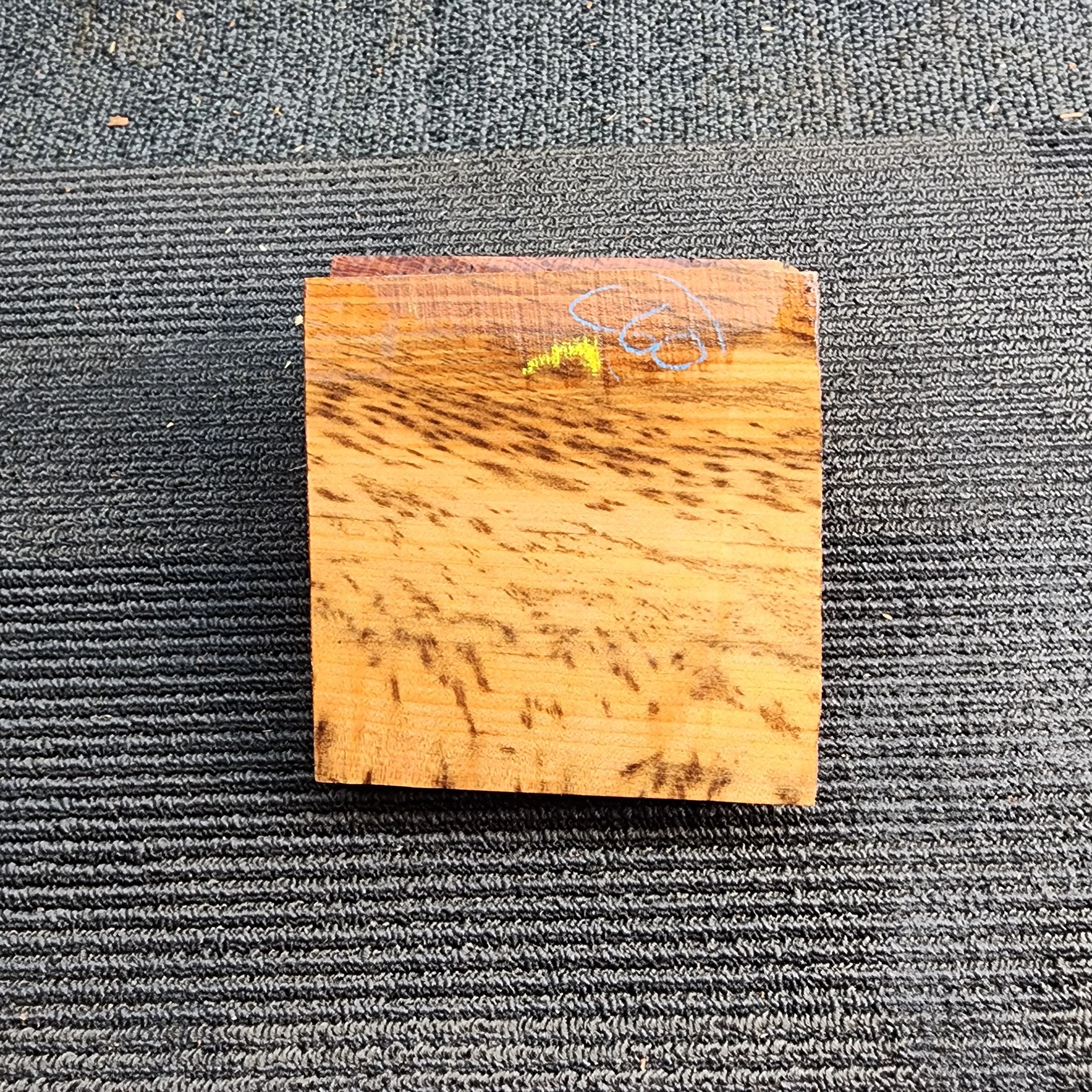 1000026902.jpg