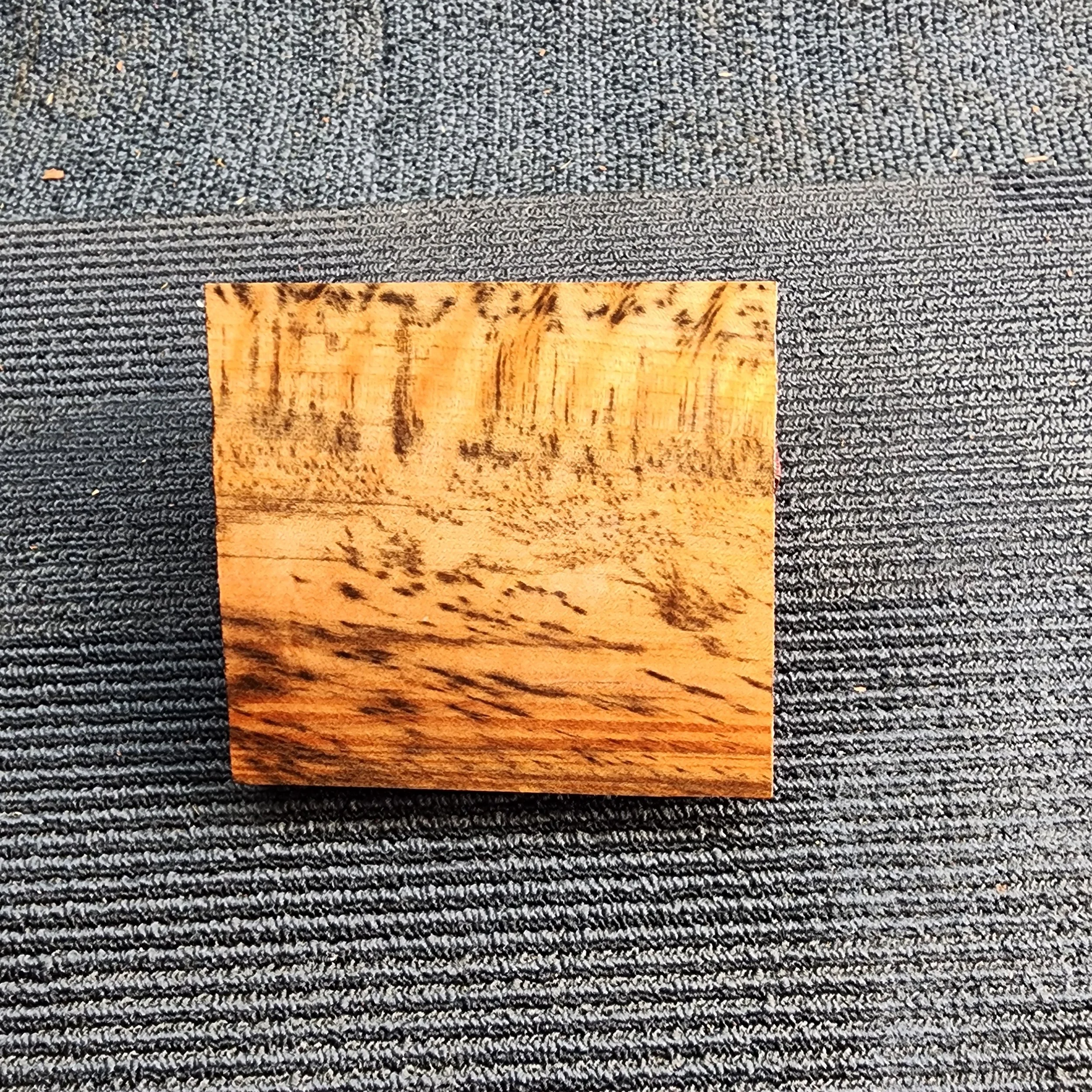 1000026909.jpg
