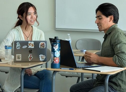 Therapist deliberate practice