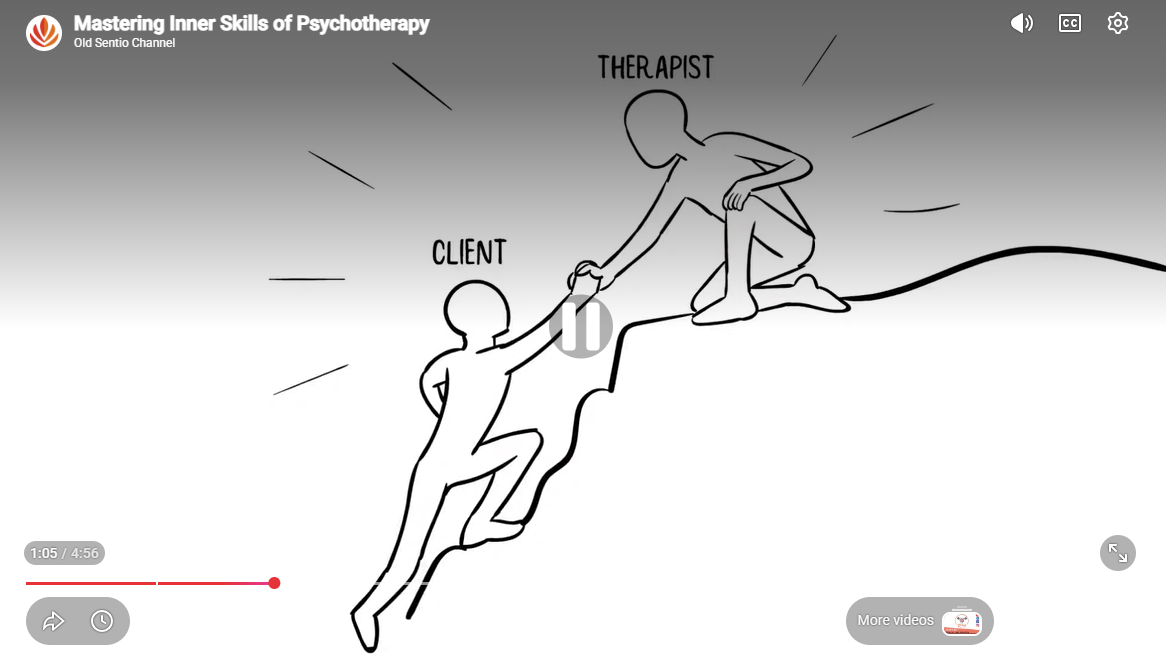 Sentio Person of the Therapist training