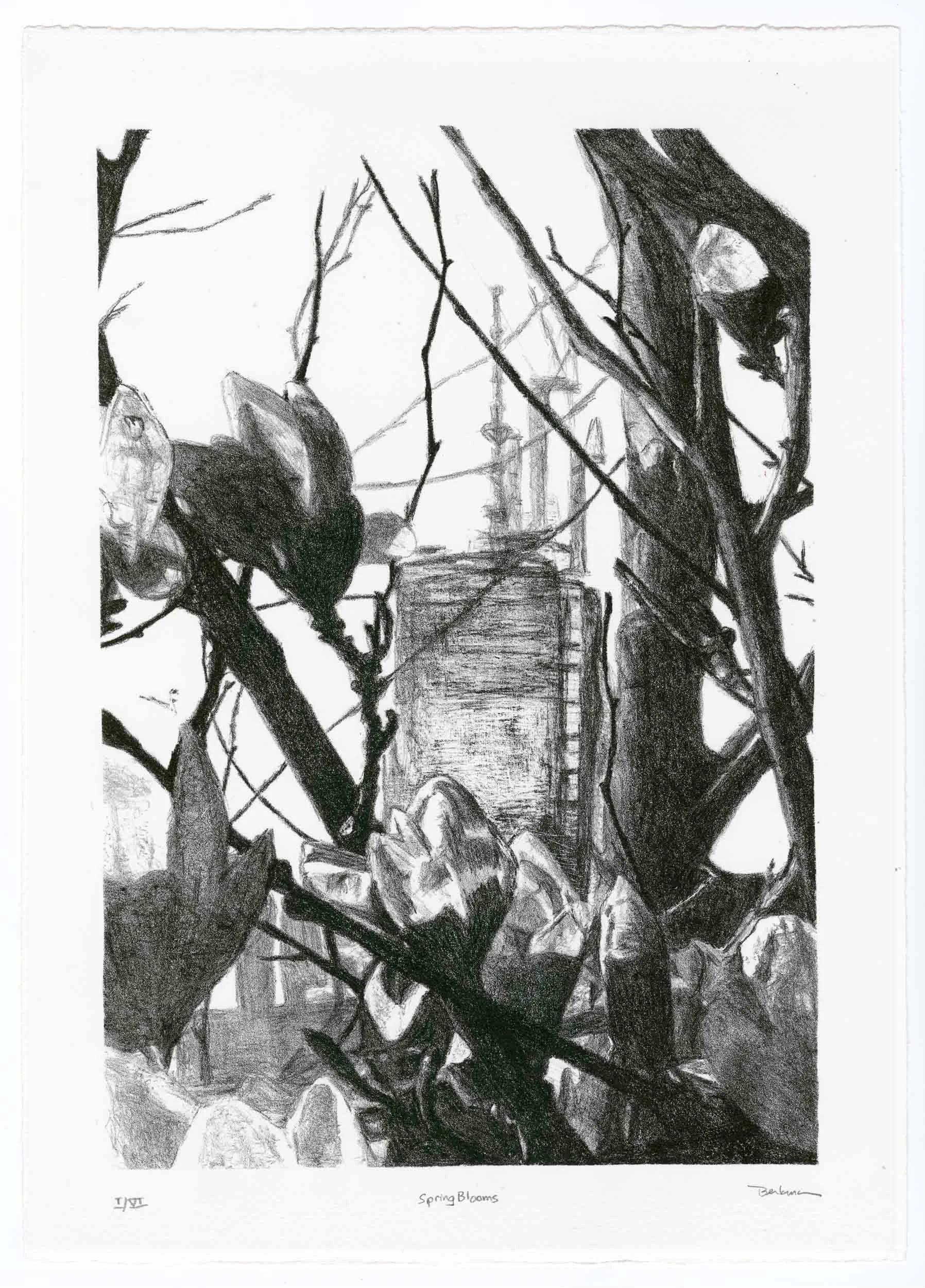 A black and white drawing of a garden scene with trees, rocks, and a pathway, titled 'Spring Blooms' by Benjamin, with some Roman numeral and English text at the bottom.