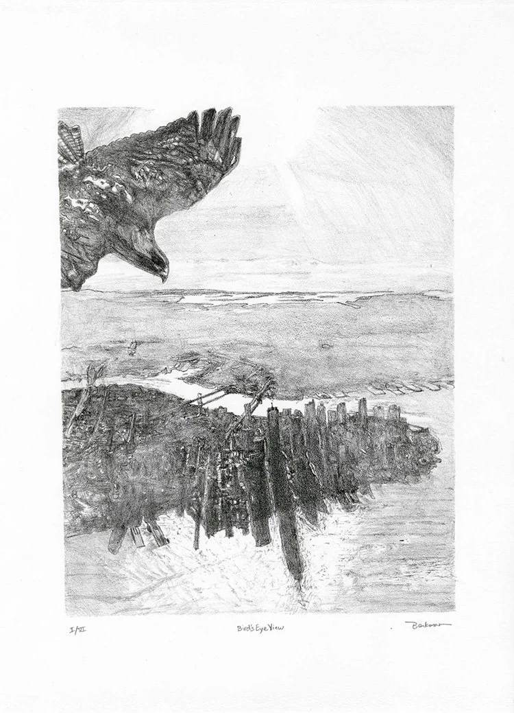 A pencil sketch titled 'Birds Eye View' showing an eagle's head in the top left corner looking towards an aerial landscape of a coastline, a body of water, and a city skyline with tall buildings at the bottom.