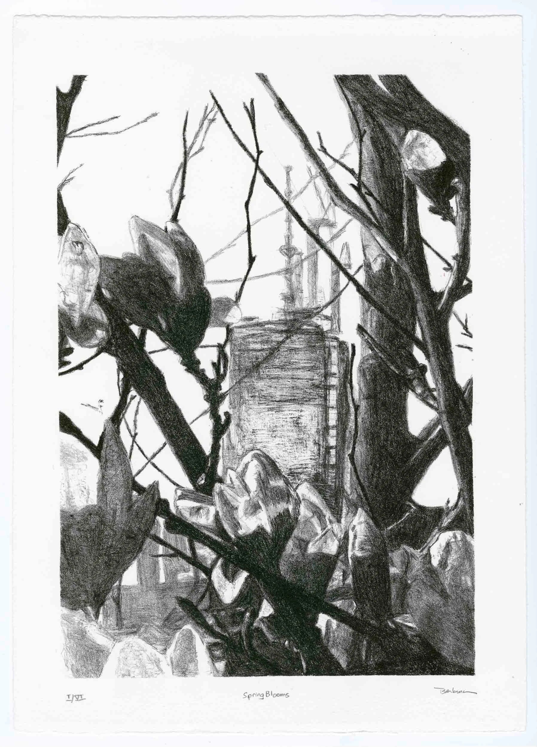 Spring Blooms, Edition of 10