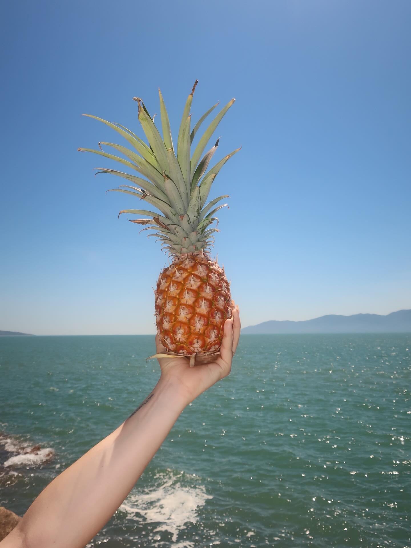 Whats more tropical than a locally grown pinnaple on your parmi ? 🍍🌴

This weeks for our parmi special!! 
TROPPO PARMI 
+ unlimited chips 😉