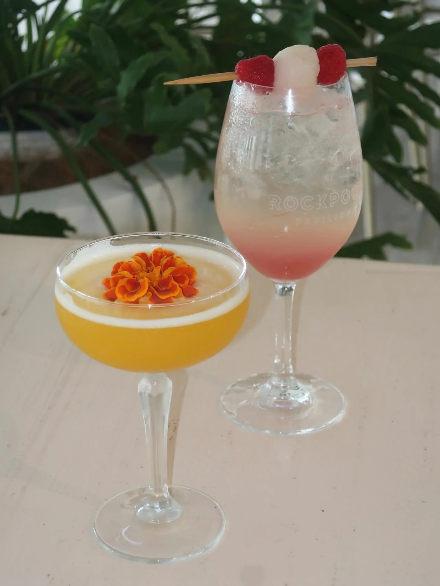 Our newest additions to our cocktails list 🍸