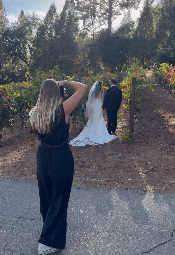 Photographer taking picture of a bride and groom walking through a vineyard with trees in the background.