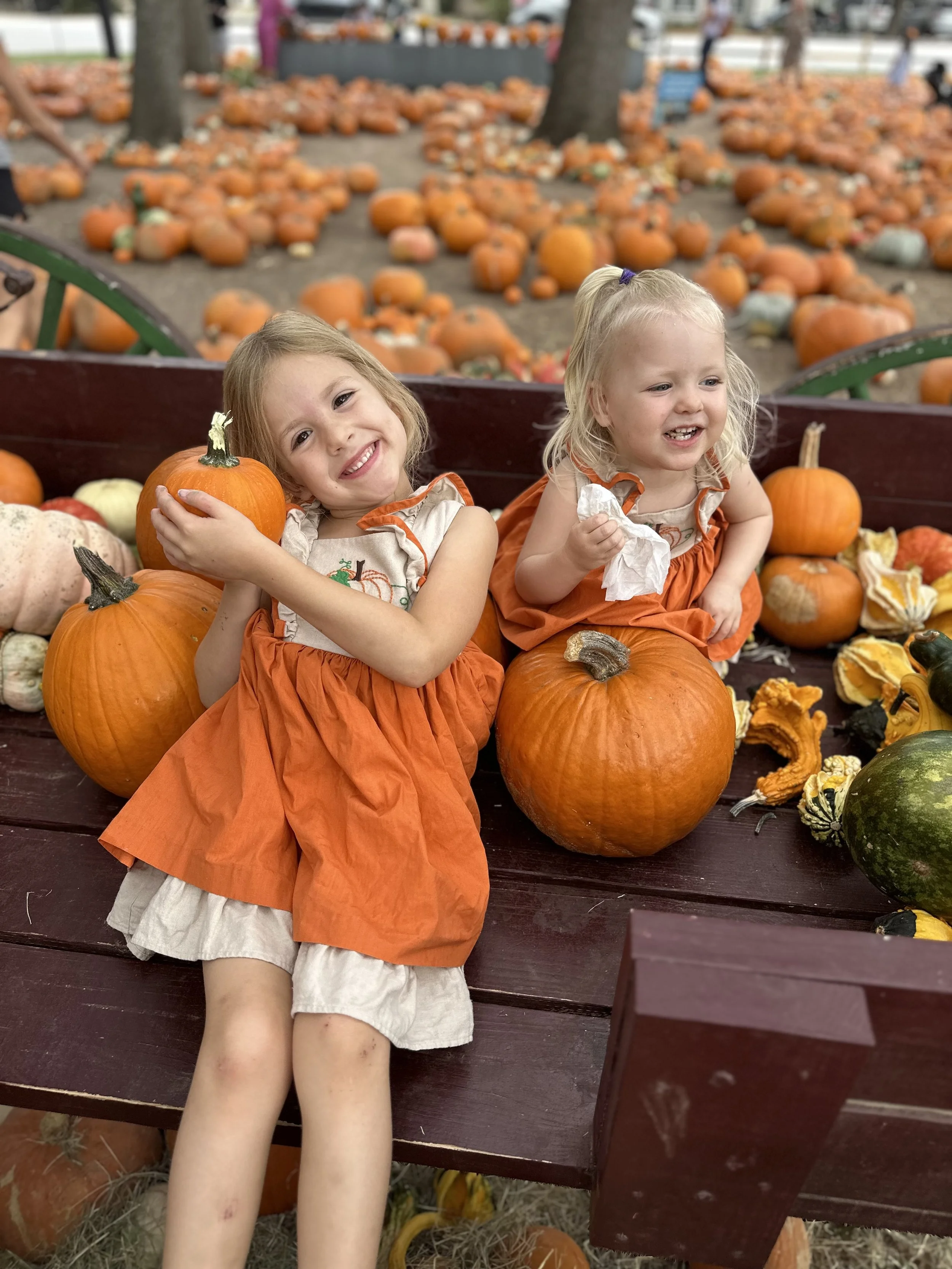 Fall in Houston: A Family’s Guide to Crisp Weather, Pumpkins & Smiles