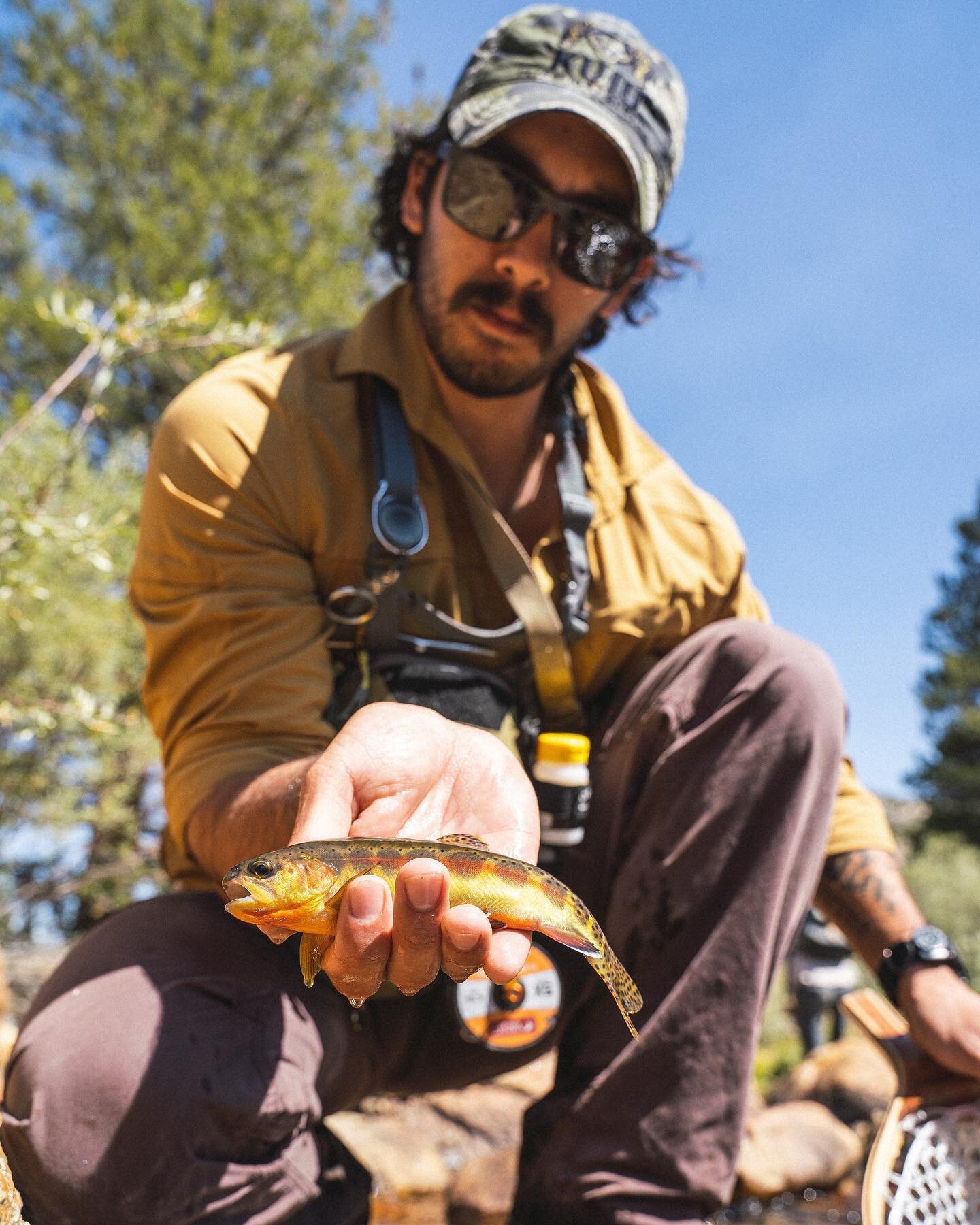 Today marks one year since our very first fly fishing program in the high Sierras of California. One year later and we&rsquo;ve had our best year yet, four full trips (as of next weekend). 

We are super excited for the future and all of next years p