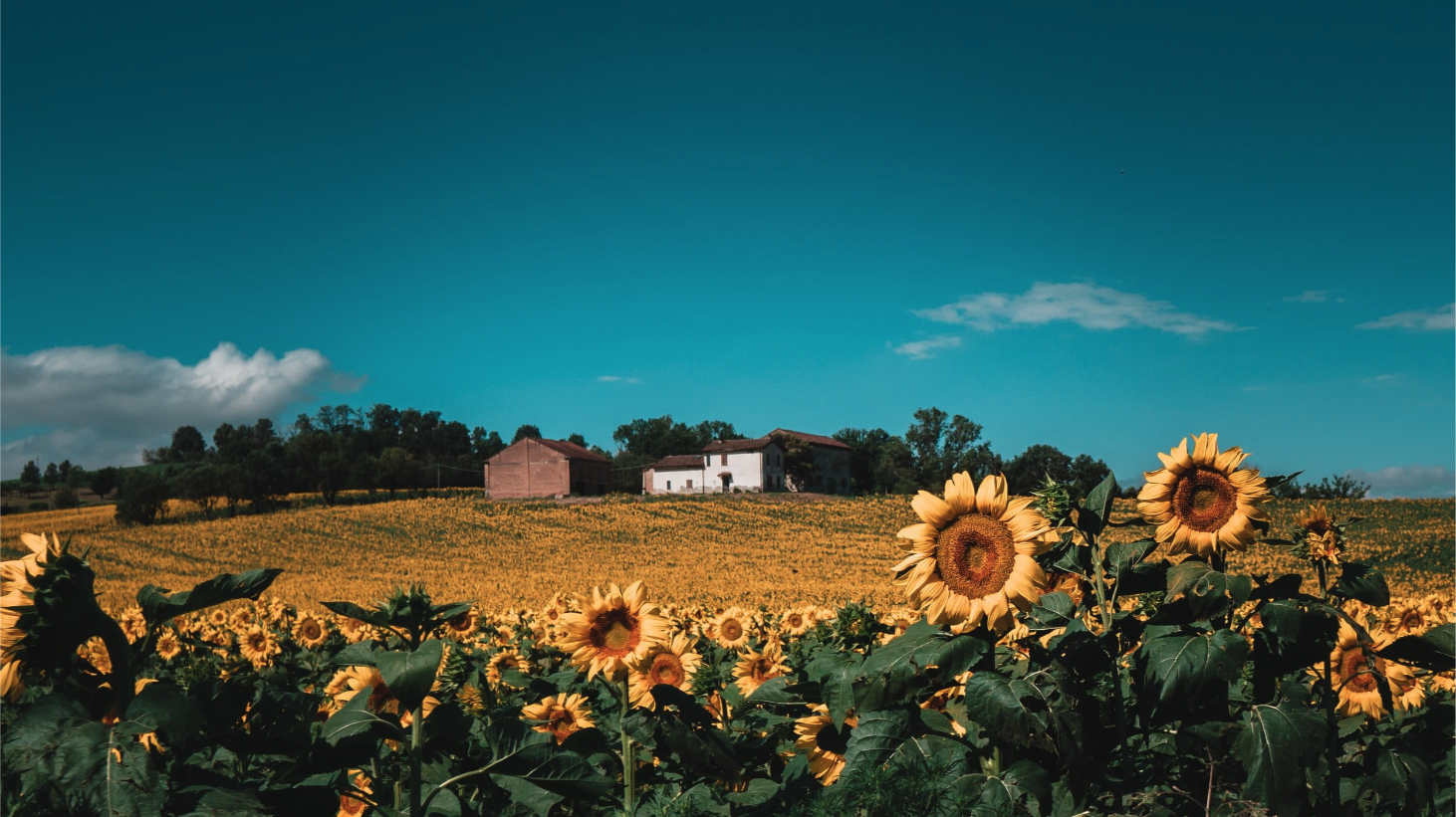 Screen Shot 2021-09-22 at 2.50.55 AM.png