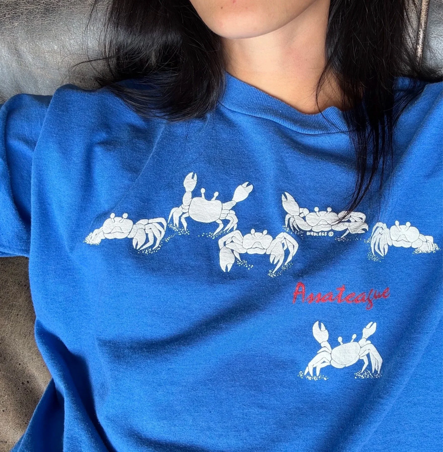 vintage-assateague-crab-blue-tshirt-front-detail.jpg