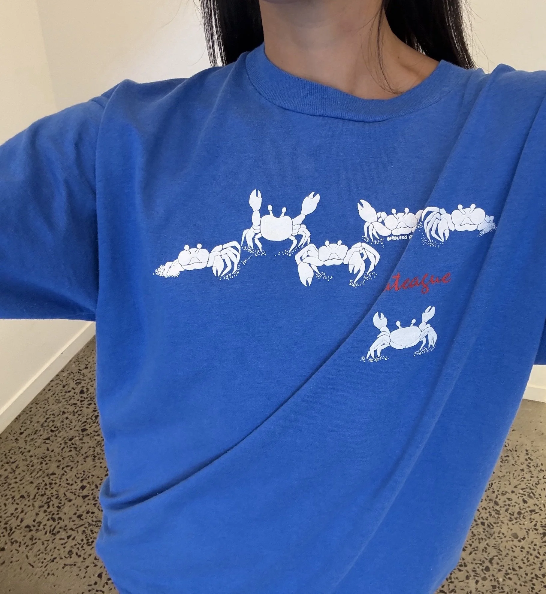 Vintage royal blue Assateague t-shirt showing white crab print across the chest