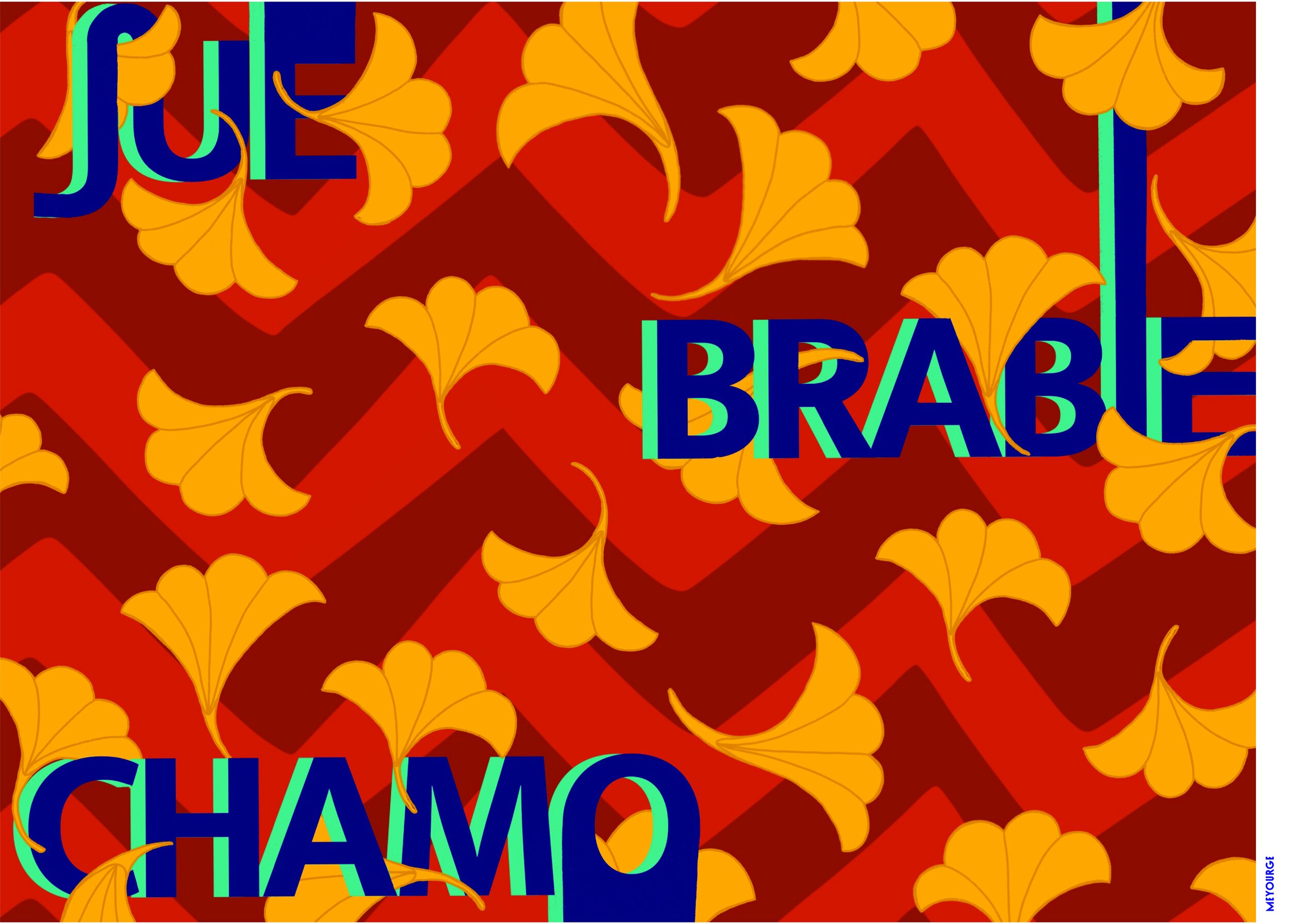 JueBrabieChamo_WrappingPaper.jpg