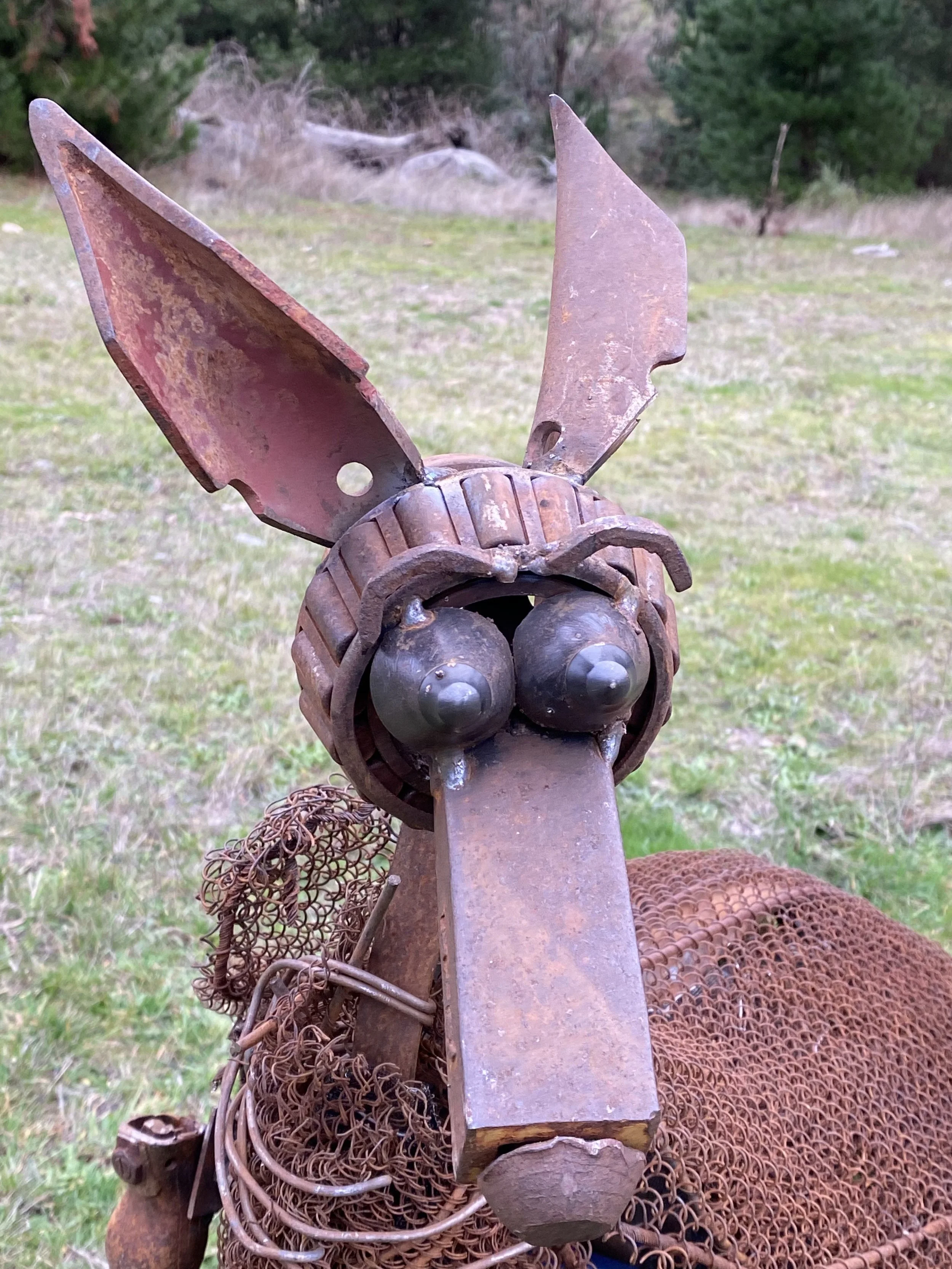 Roo up close.jpeg