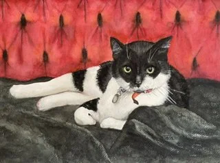 Nic's Cat