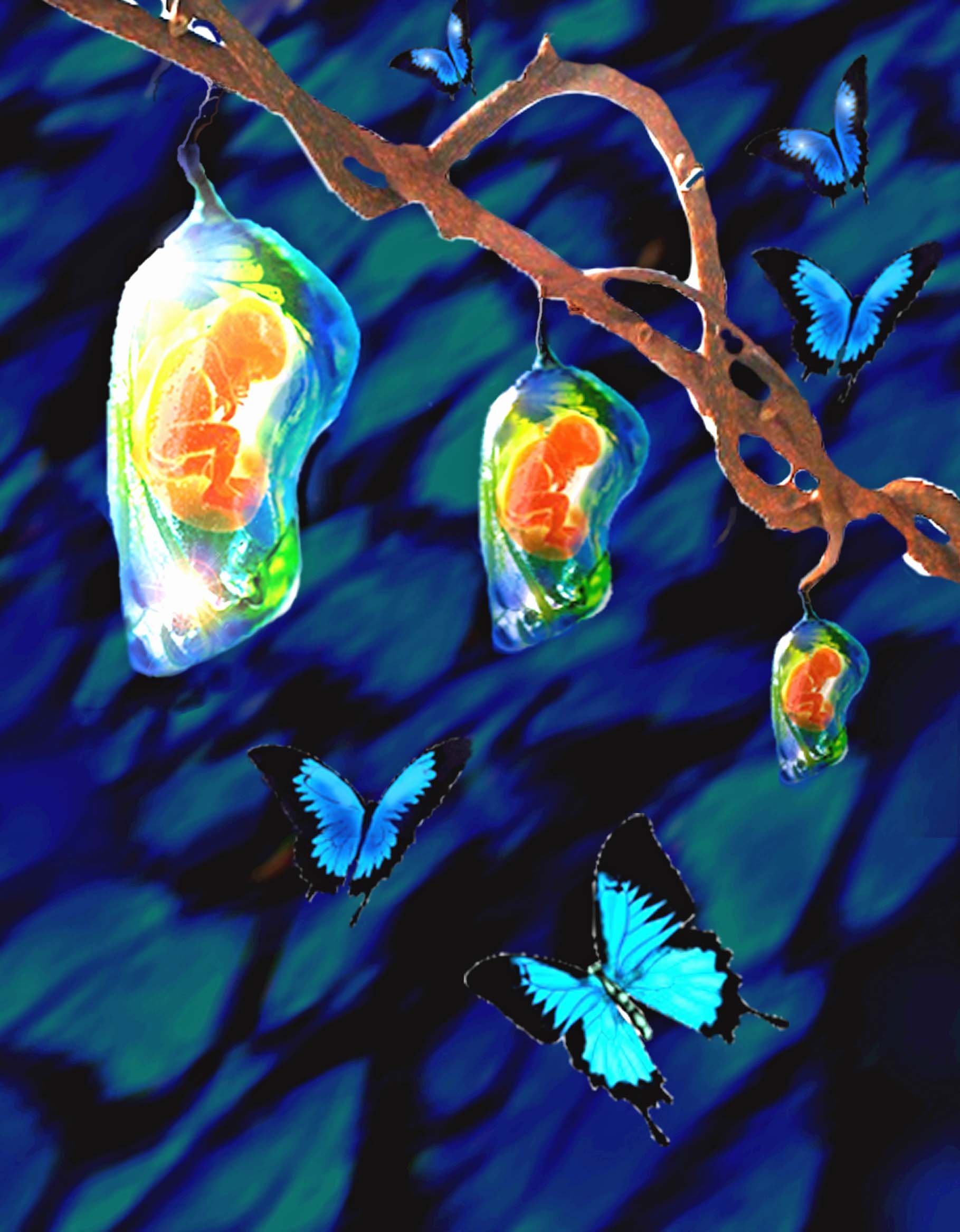 Life within the Chrysalis-metamorphosis