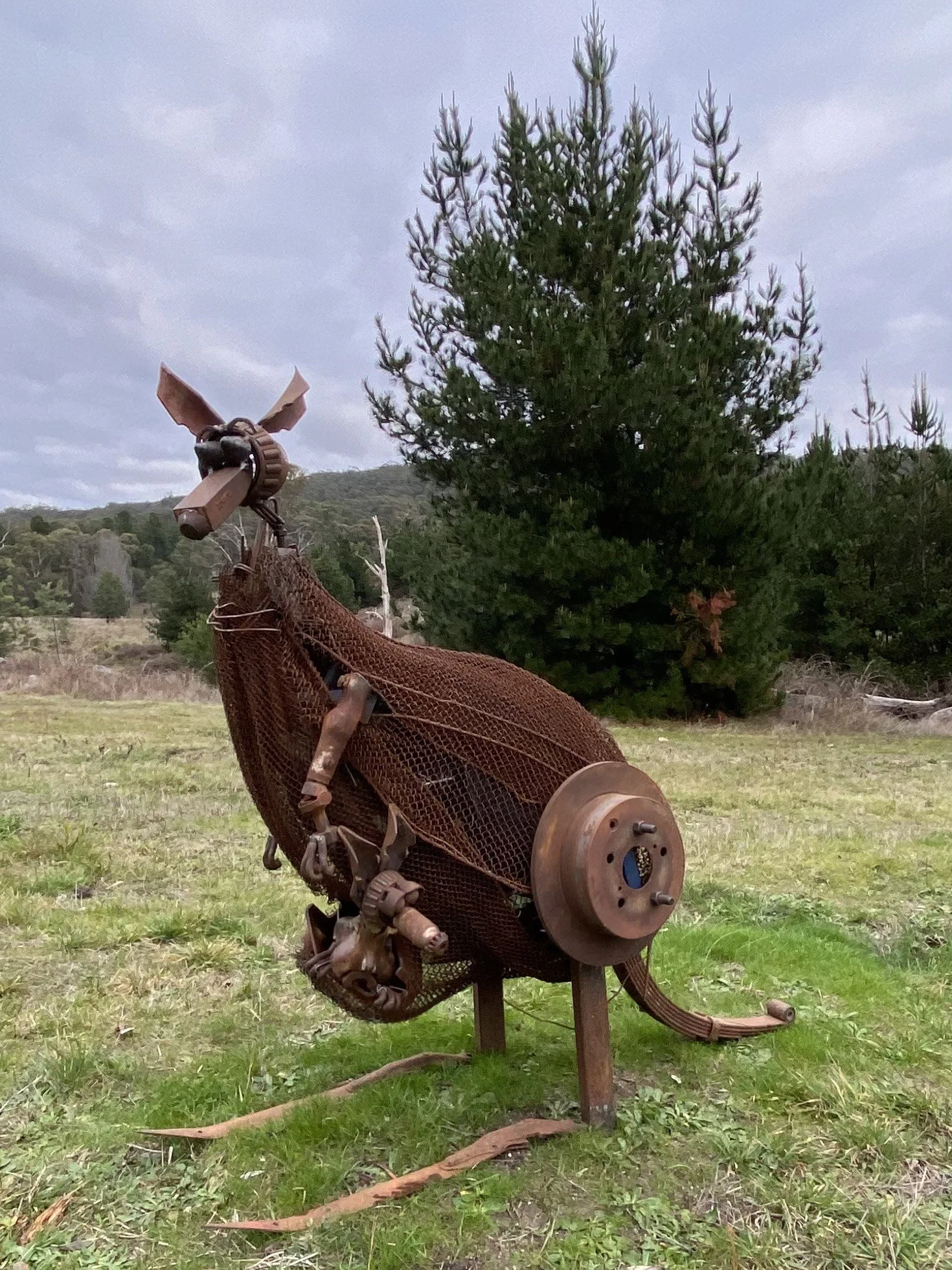 Kangaroo with Joey.jpeg