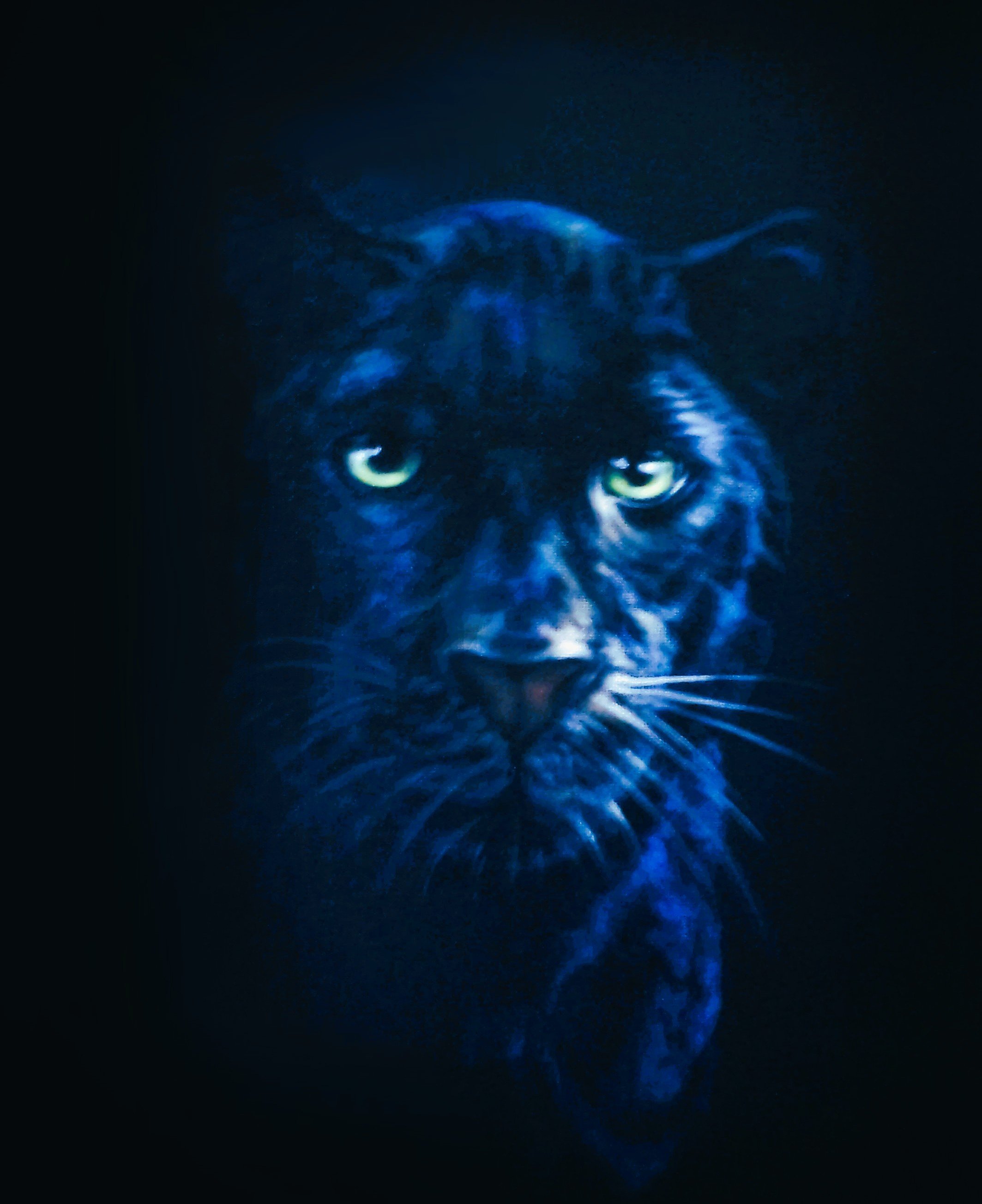 Black Velvet