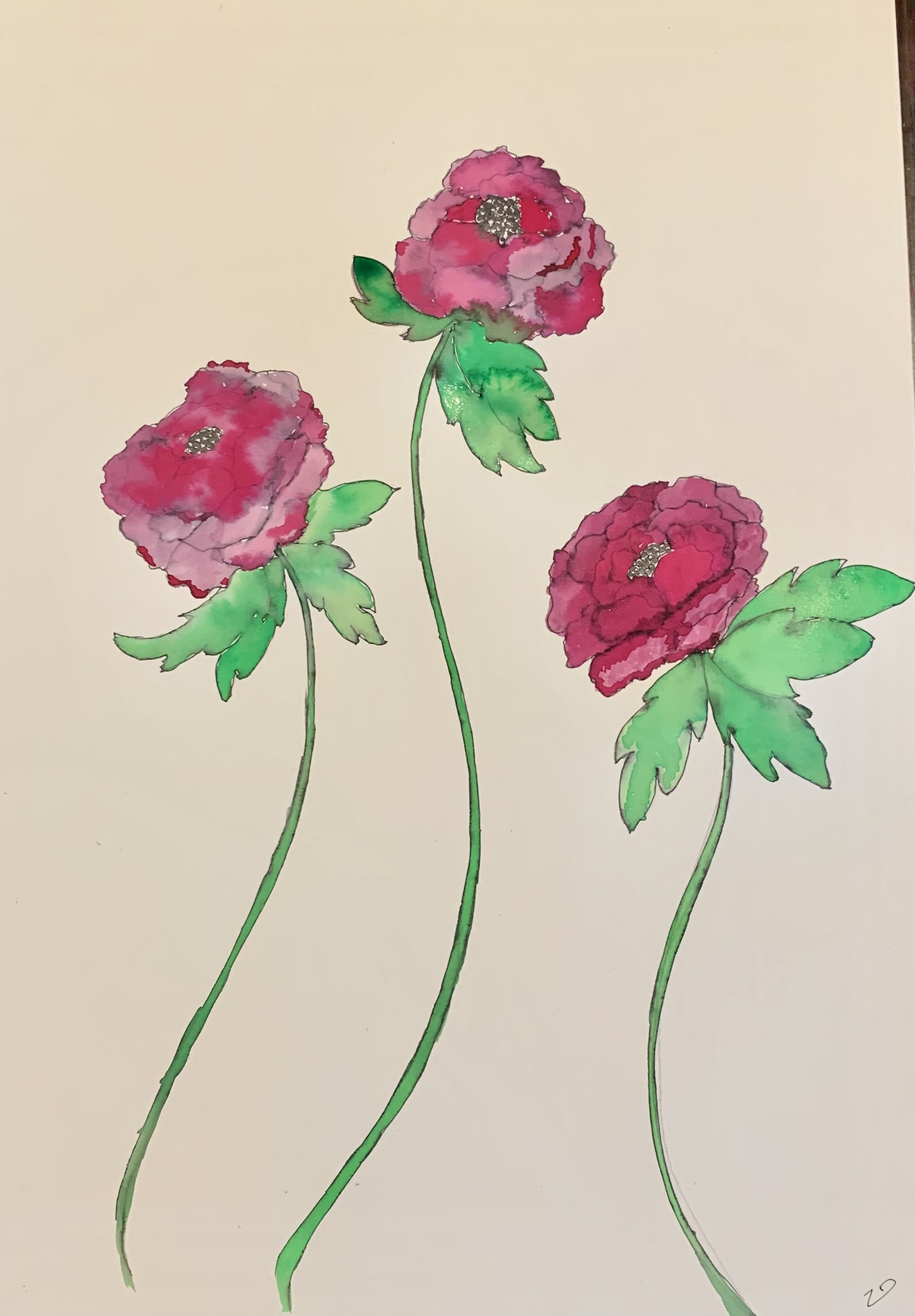 Peony watercolour.jpeg