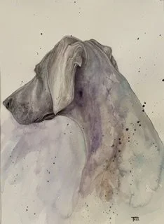 Tess Barker, click here to see more of Tess's work
