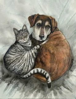 Dog & Cat
