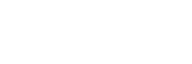 NikNaz K. Consulting