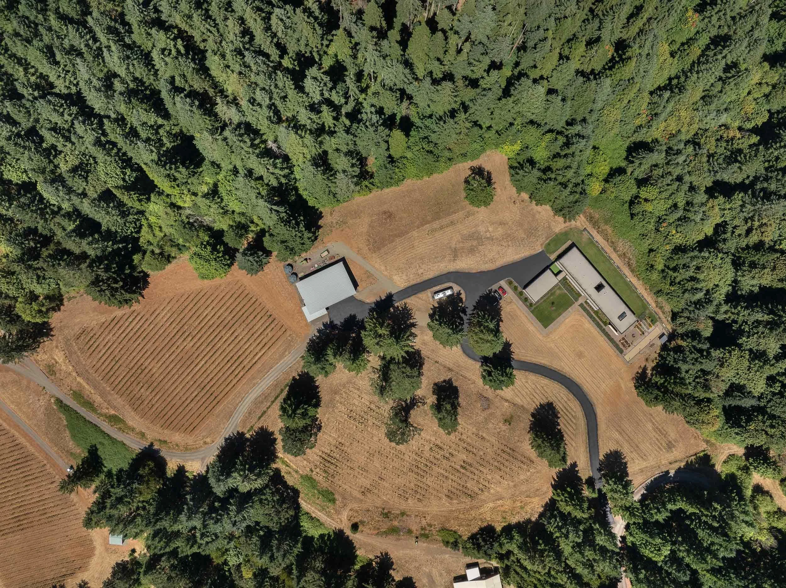 Aerial of site