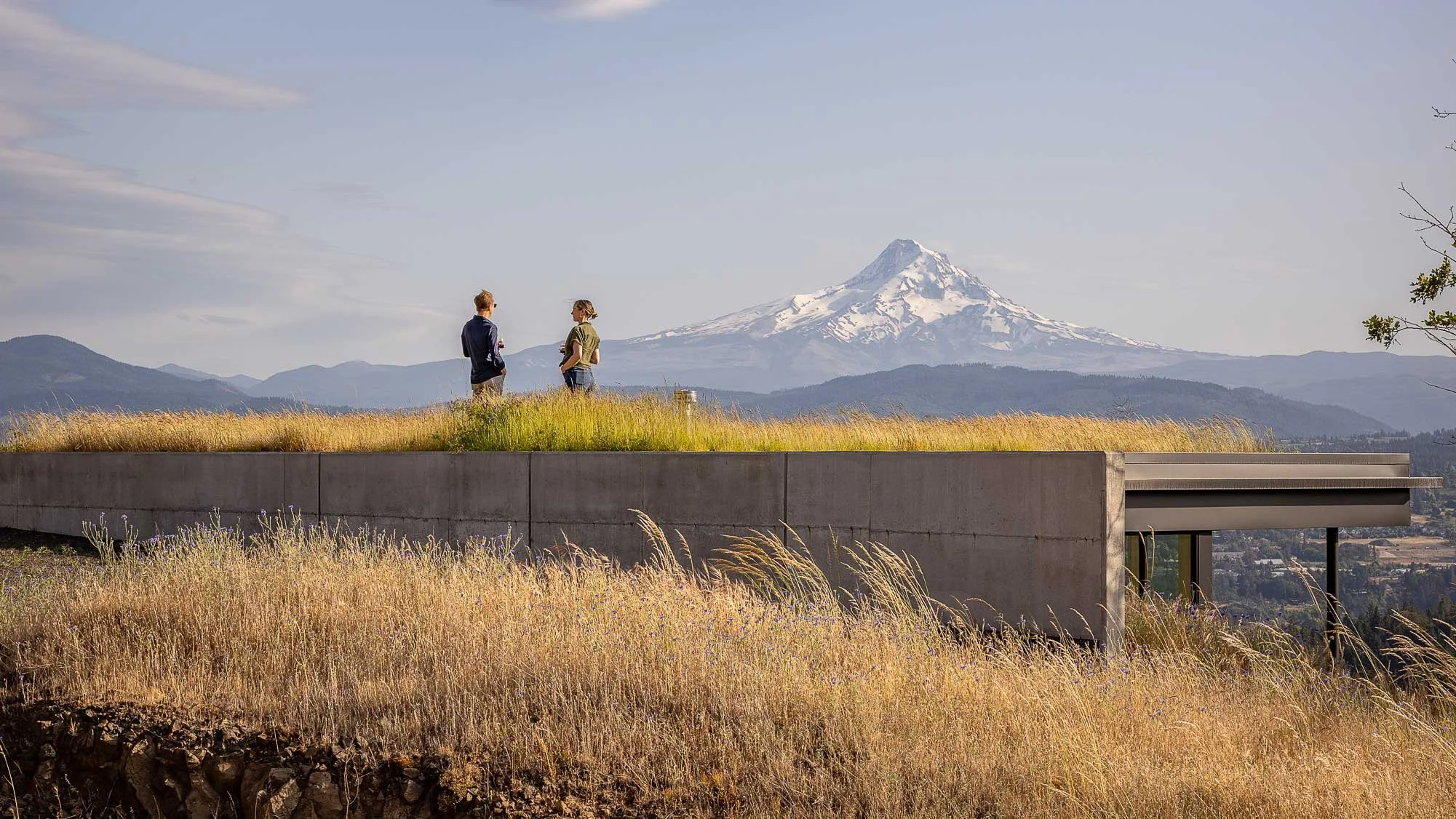 Bald Mountain Residence