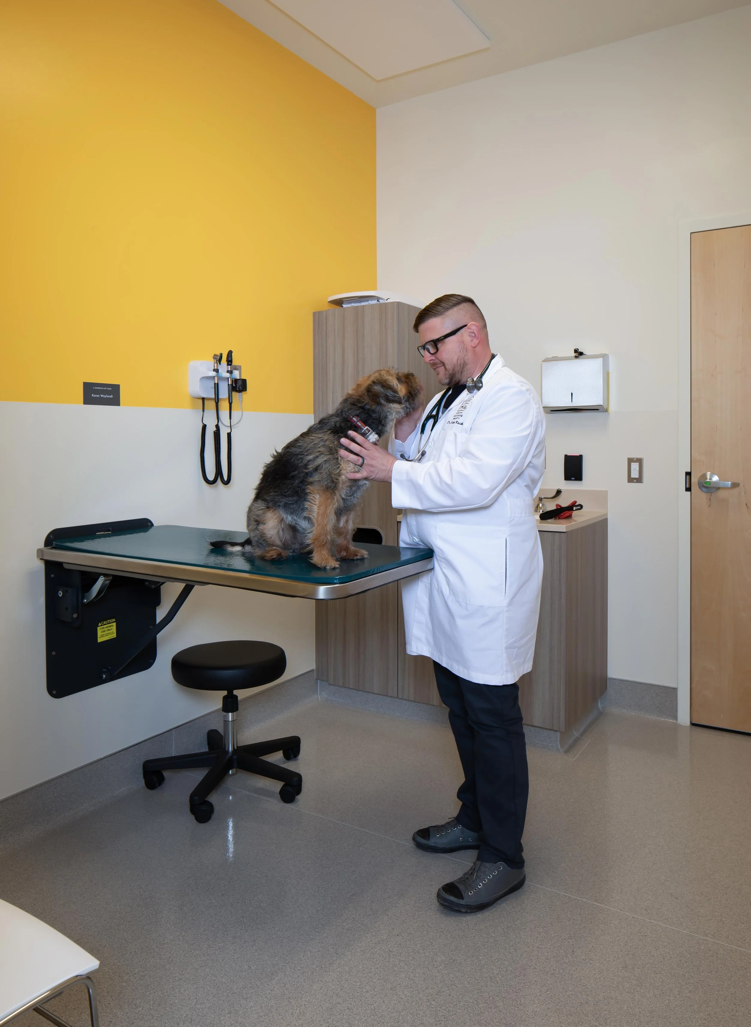 Veterinary Hospital Design Scott Edwards Architecture