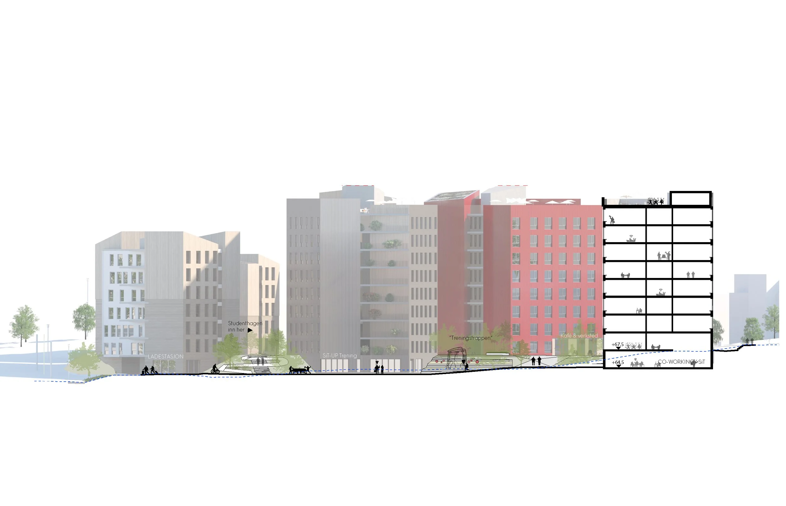 Snitt av Nardoveien studentboliger av A-lab