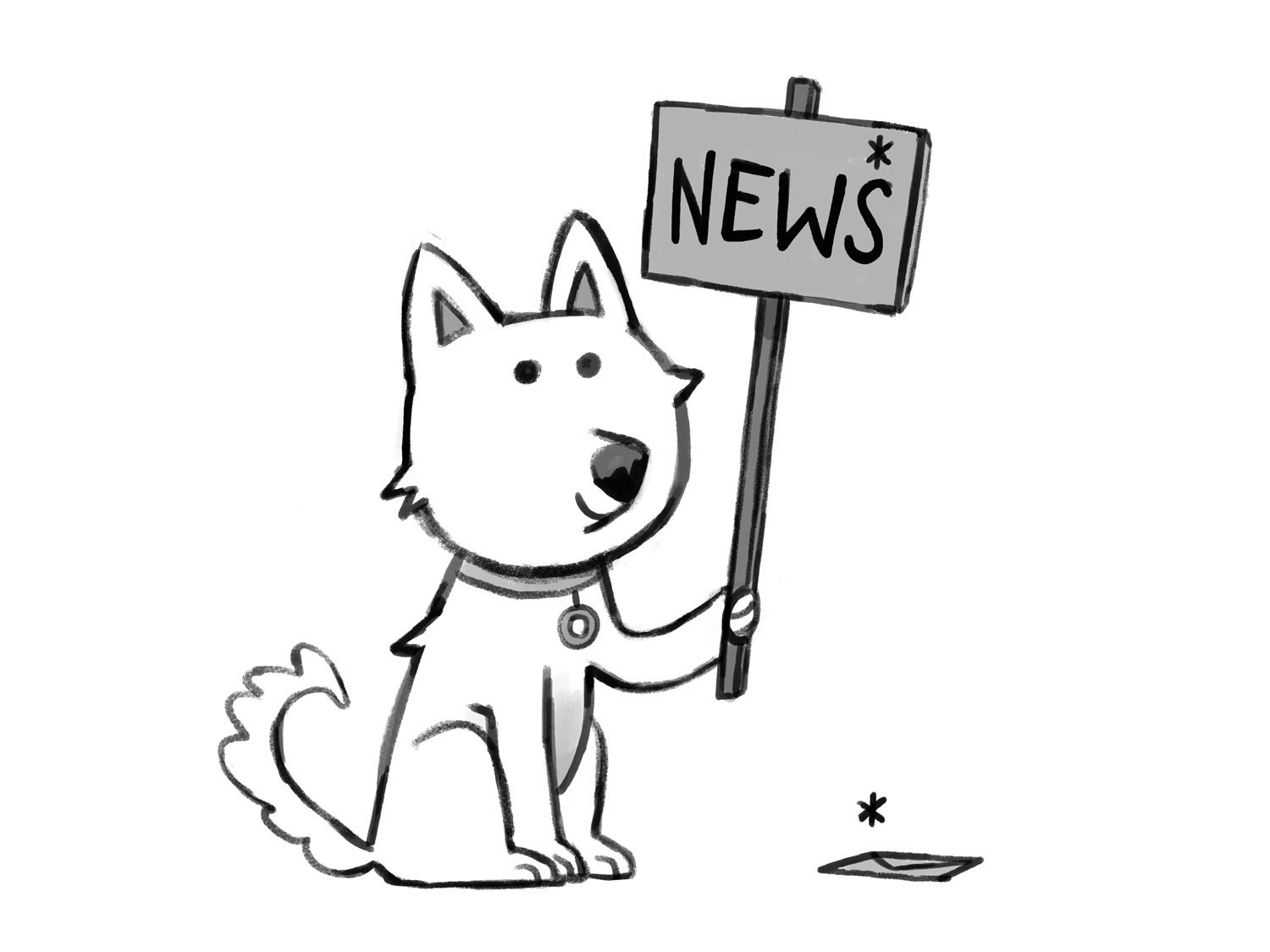 twigs news .jpg