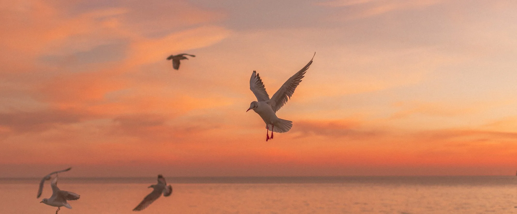 Photo 07-01-2021, 17 04 41 (3).jpg