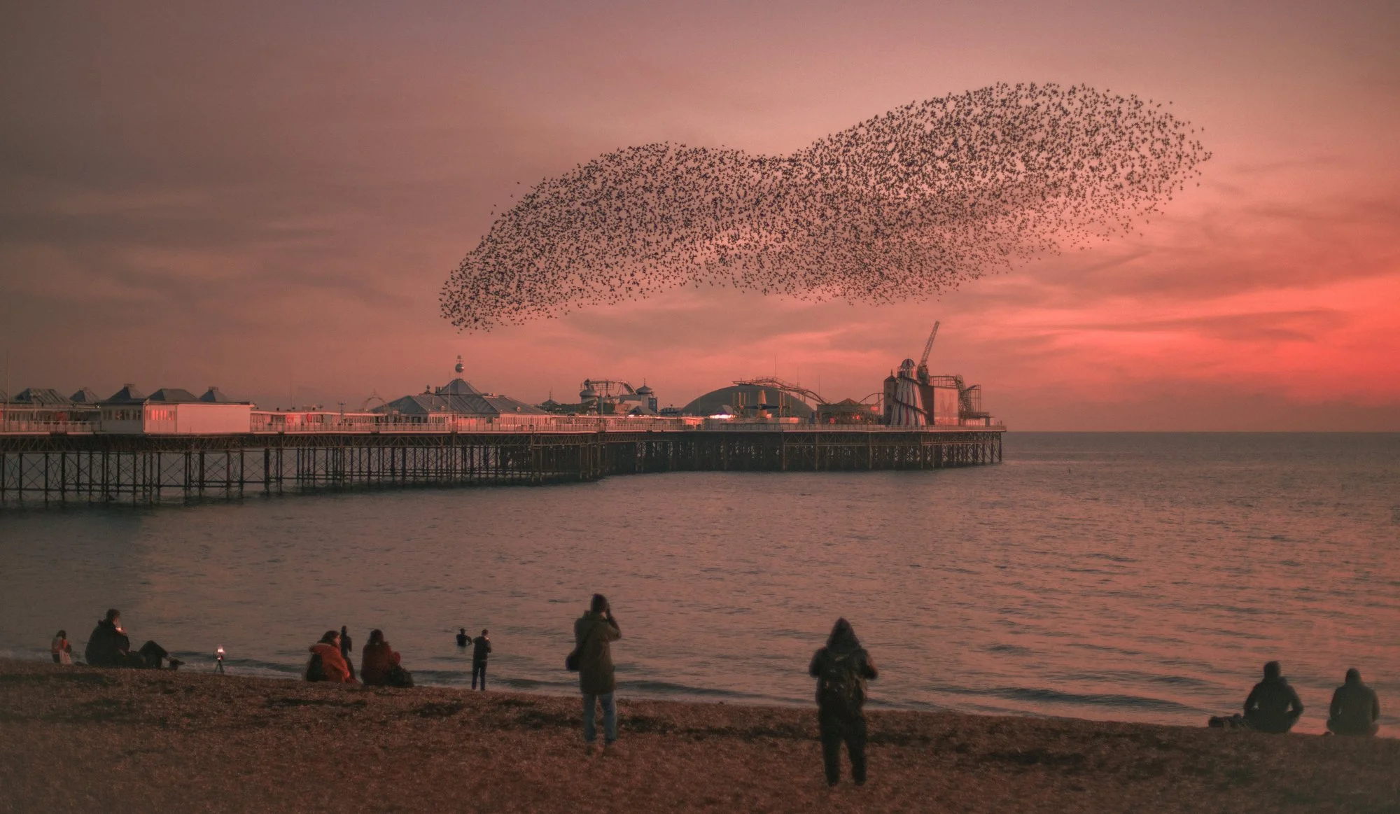 Photo 07-01-2021, 17 43 43 (3).jpg