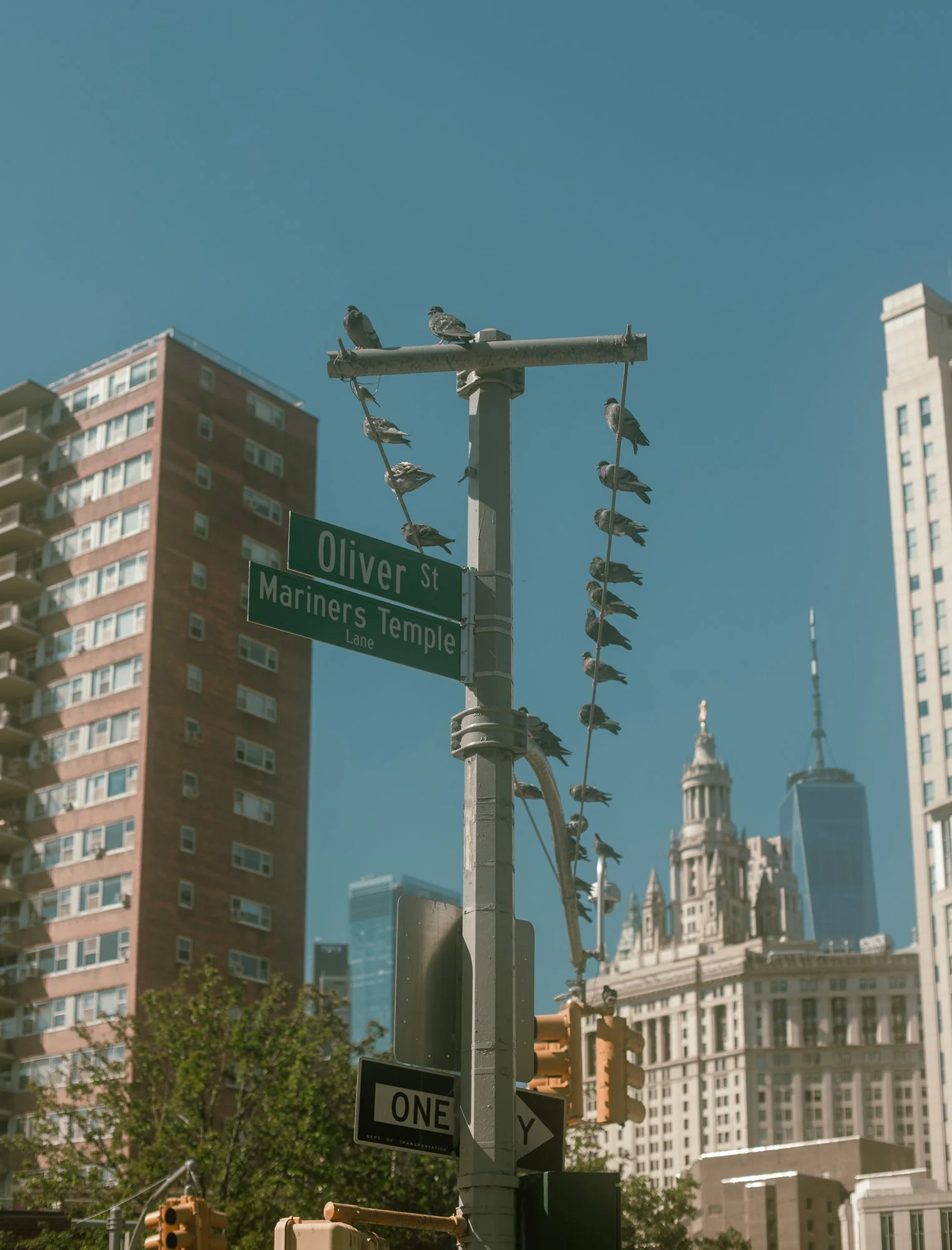 Photo 07-10-2022, 17 10 09.jpg