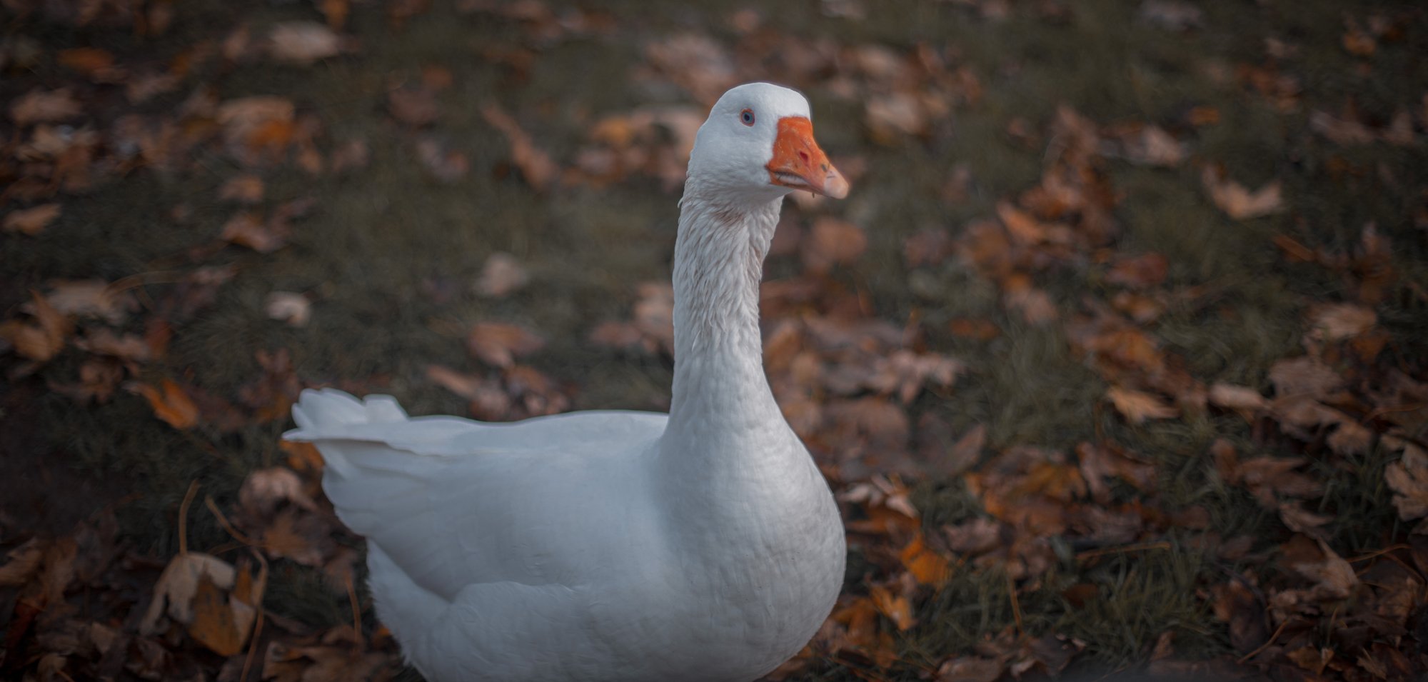 Photo 13-11-2020, 10 21 13.jpg