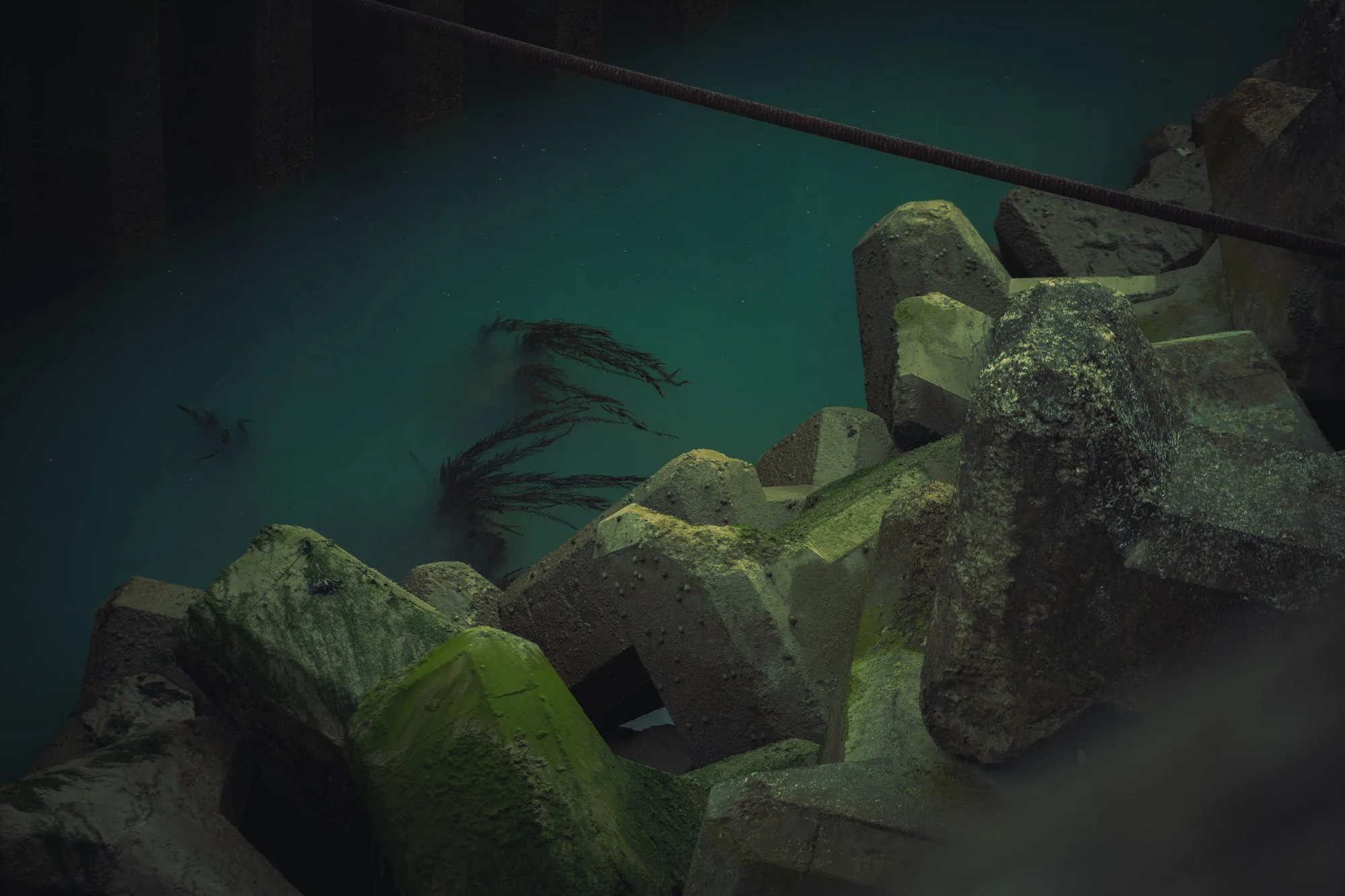 Photo 20-02-2021, 13 06 27 (1).jpg