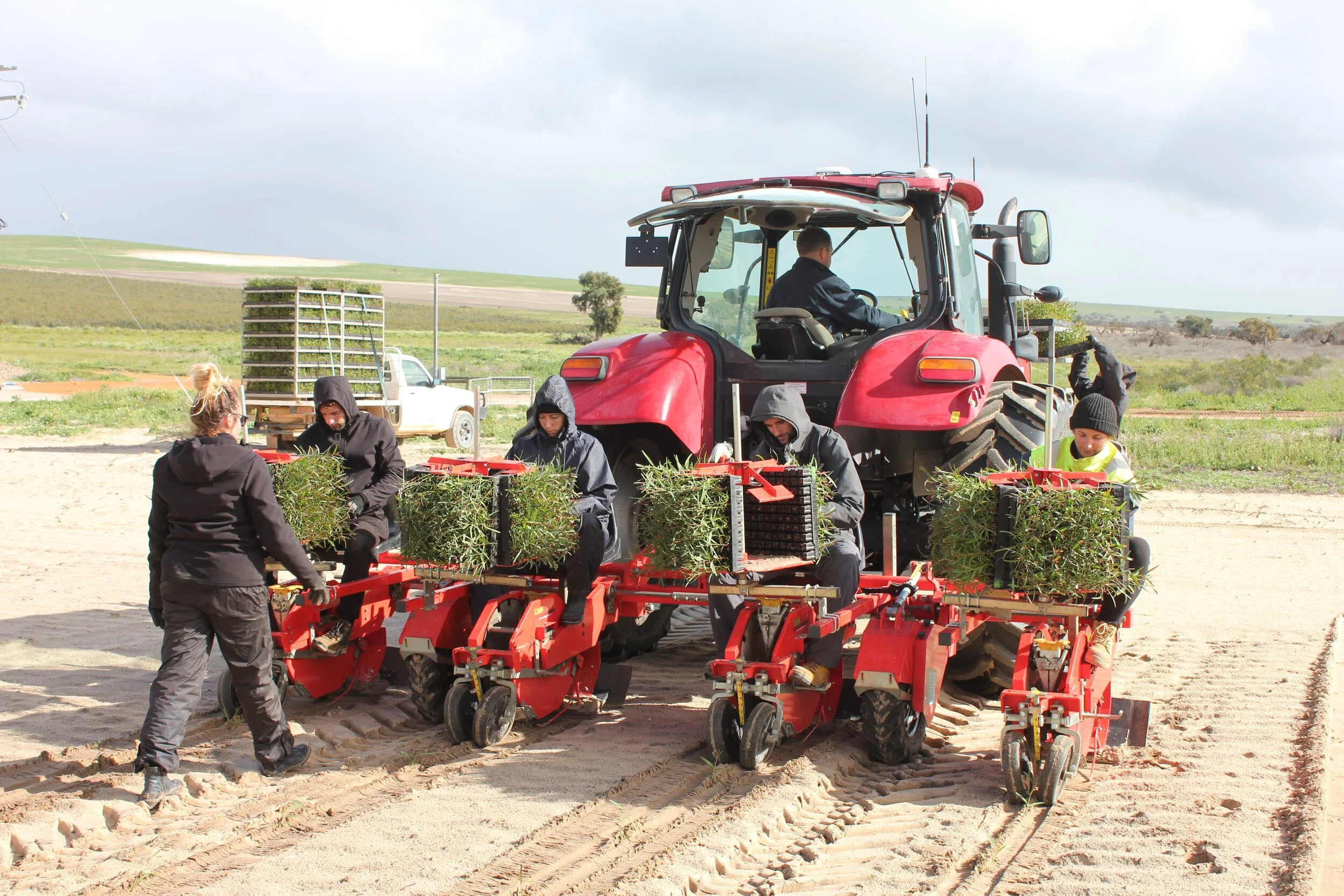 2021 plantation.jpeg