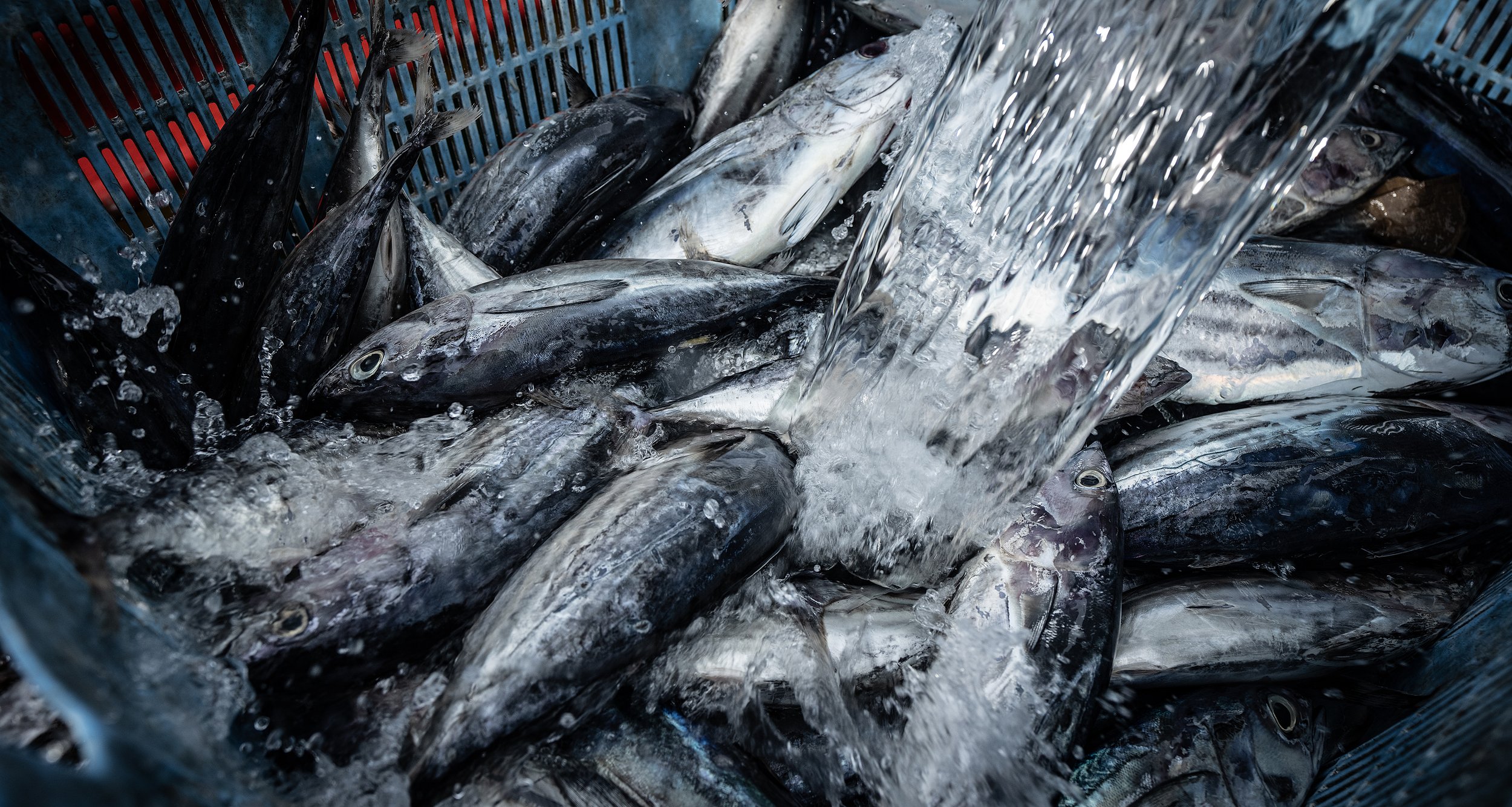 Honiara Central Market pdj06.05.25.034.jpg