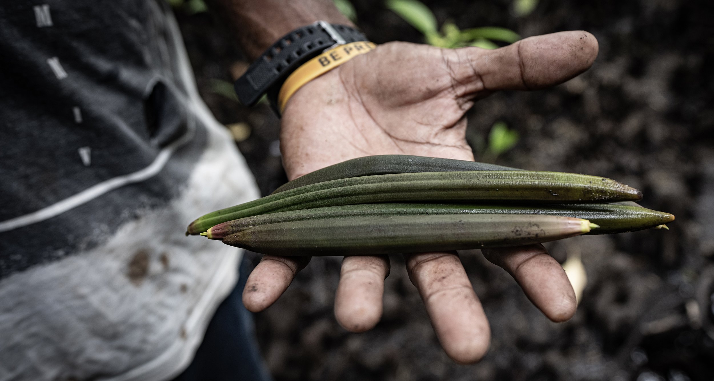 Benjamin Waleilia.pdj.21.05.25.023.jpg