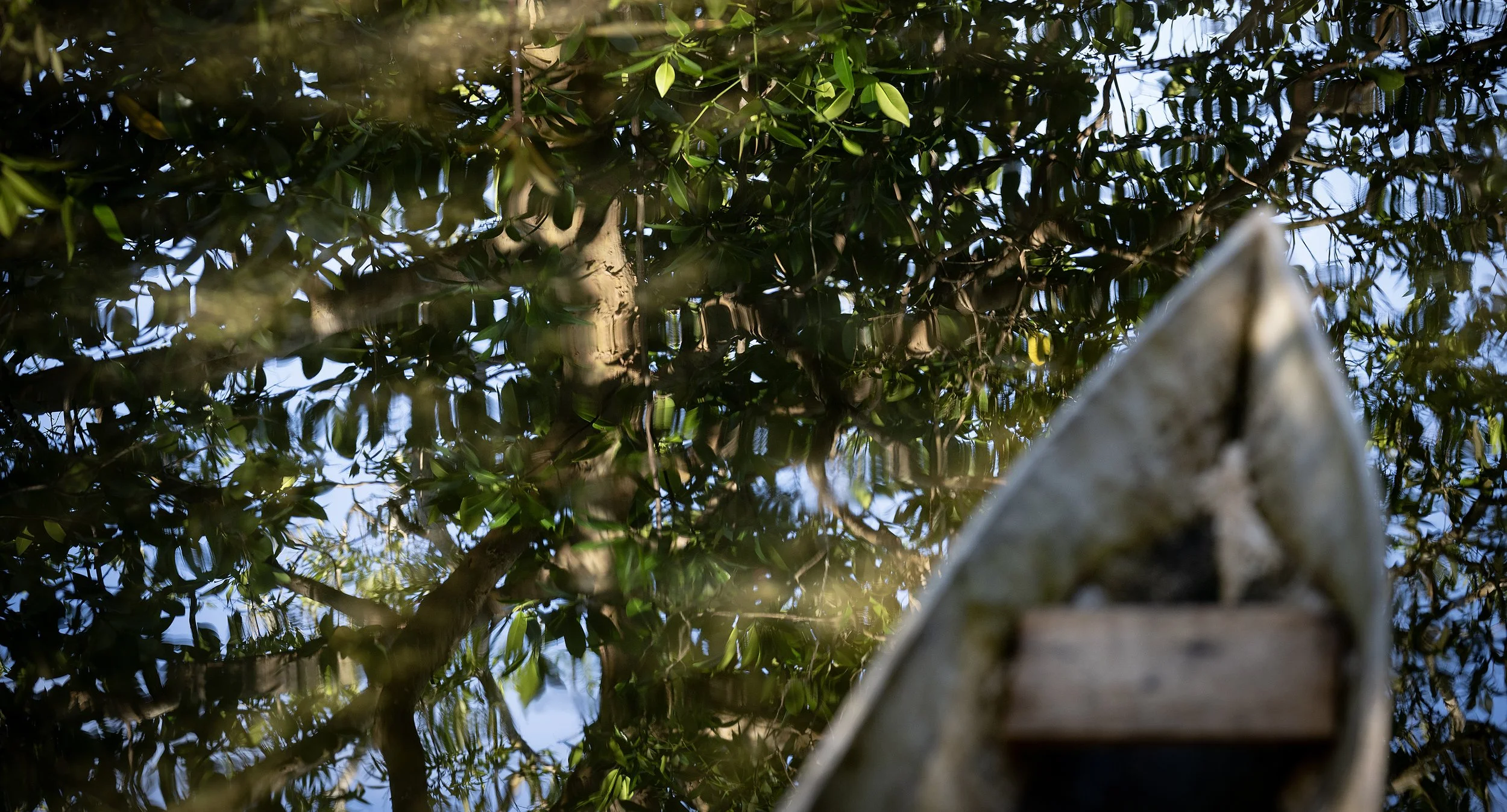 Benjamin Waleilia.pdj.21.05.25.006.jpg