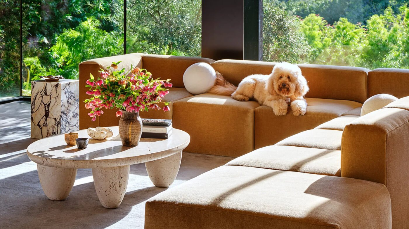 Pet Friendly Designs 