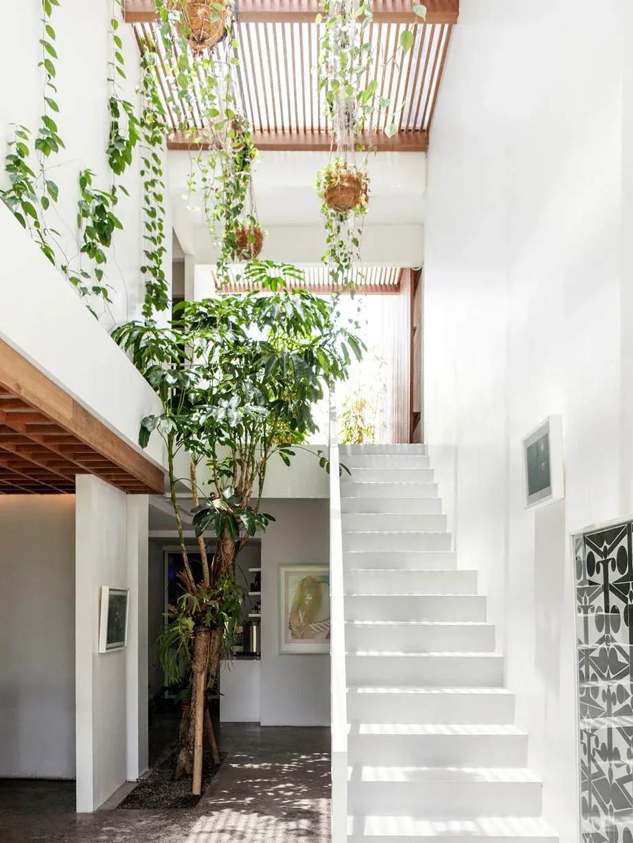 That time I planted a tree inside my client's house — rlowell
