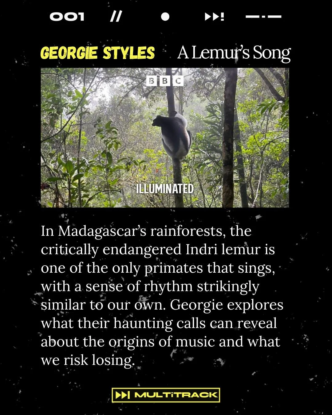 ✨ Fresh Fellow Commissions ✨
A Lemur&rsquo;s Song - Produced by Georgie Styles @georgie.styles

In Madagascar&rsquo;s rainforests, the critically endangered Indri lemur sings with rhythm strikingly like our own. What can their haunting calls reveal a